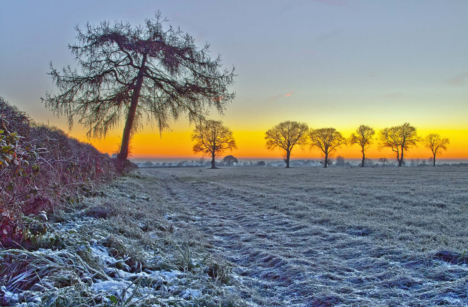 C. Frosty Sunrise by Dave James