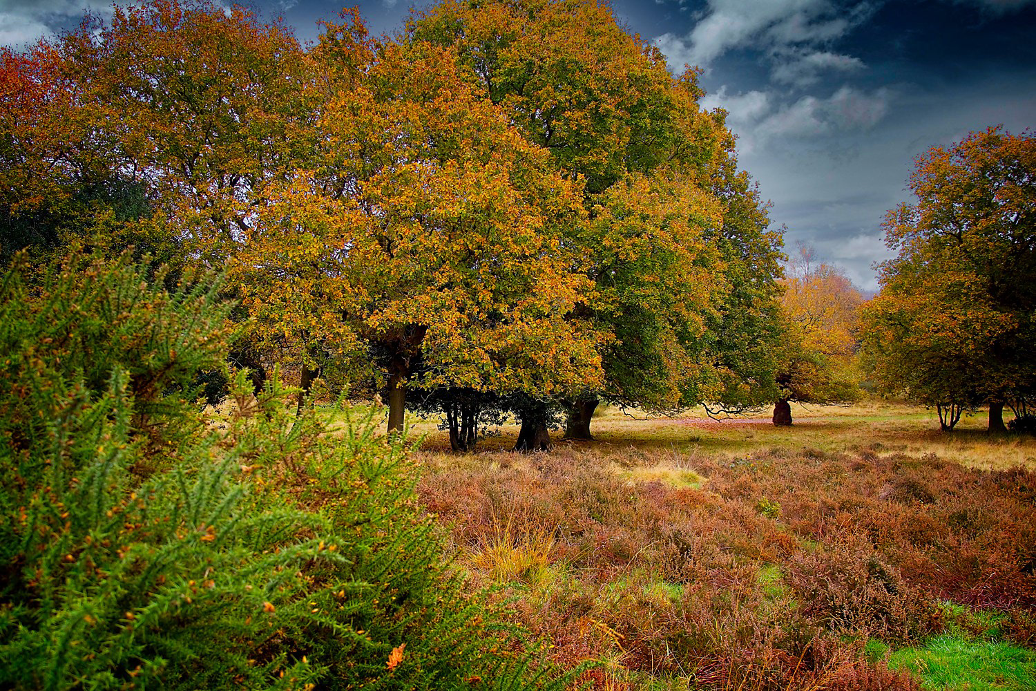 2nd Autumn colours by Eric Thomas