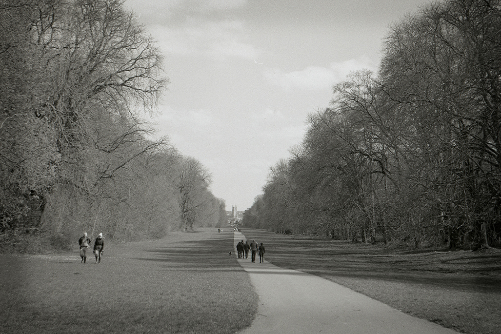 HC. A long walk home- Patrick Weston