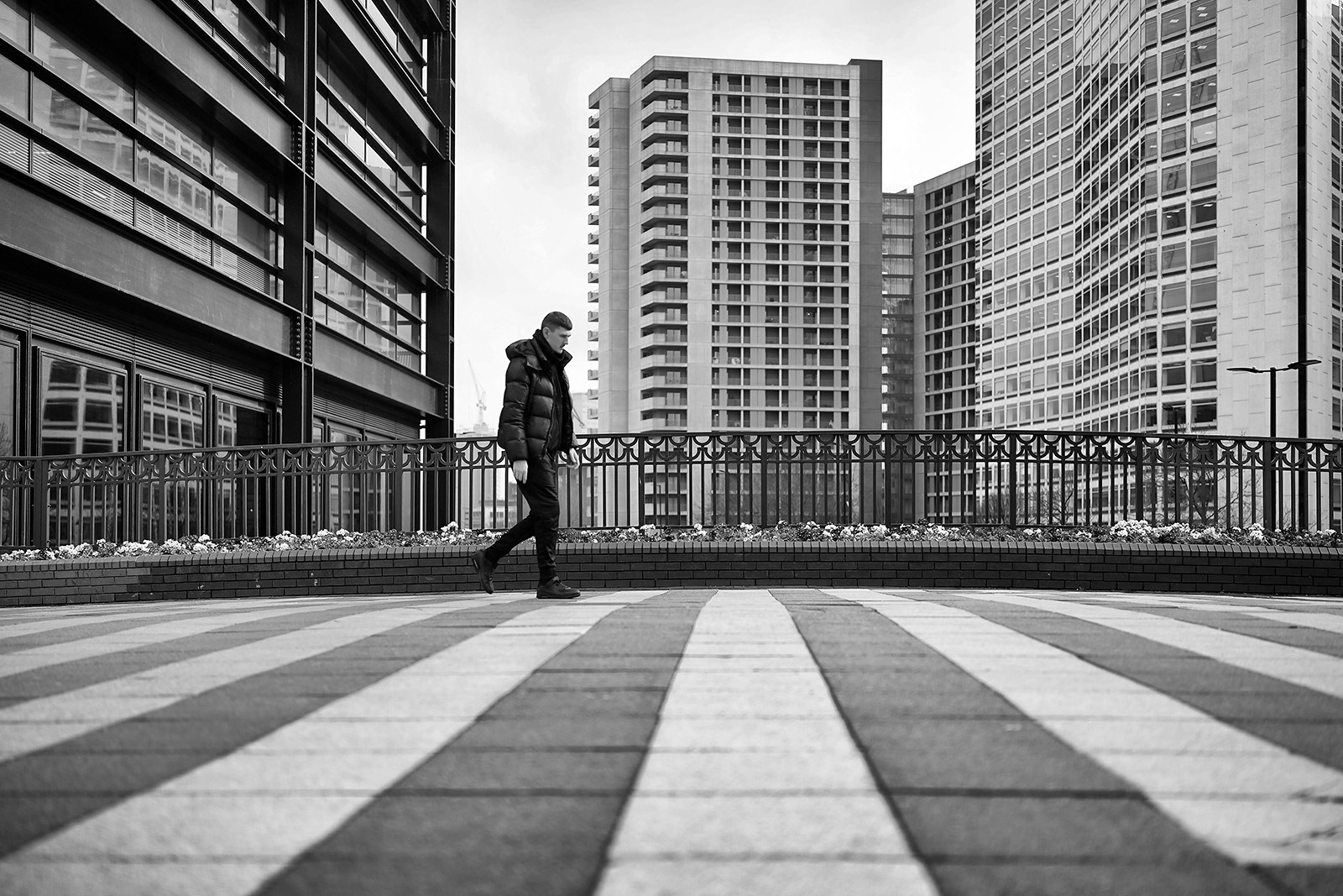 Commended Strolling Through Paradise by Dave Taylor