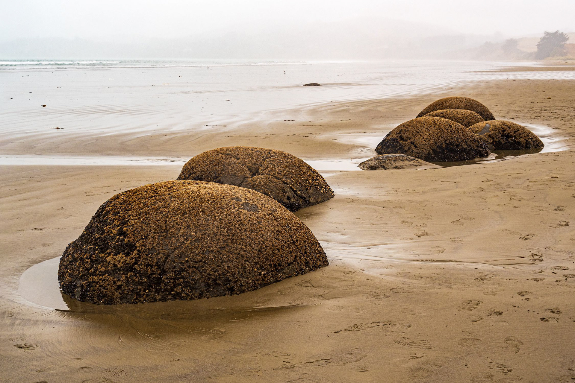 2nd. A Bleak day at Moeraki Rocks by Jim Sweetman