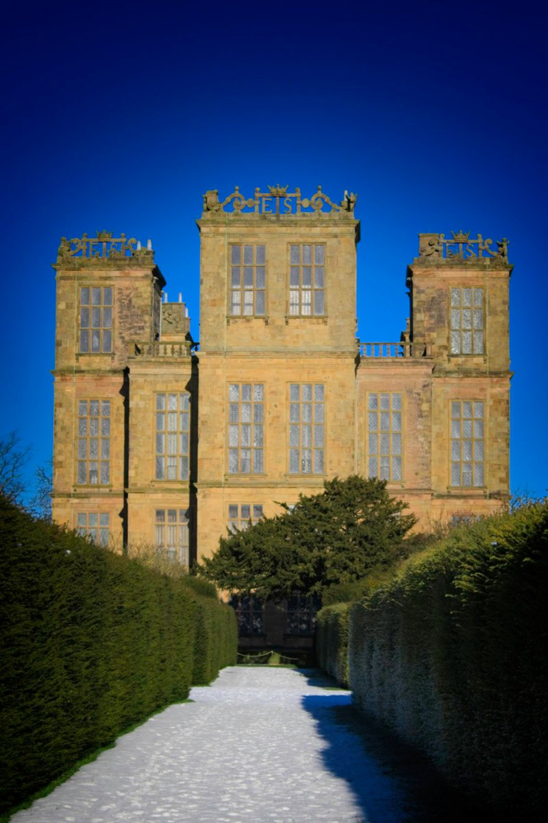 Commended A Grand Entrance by Paddy Weston