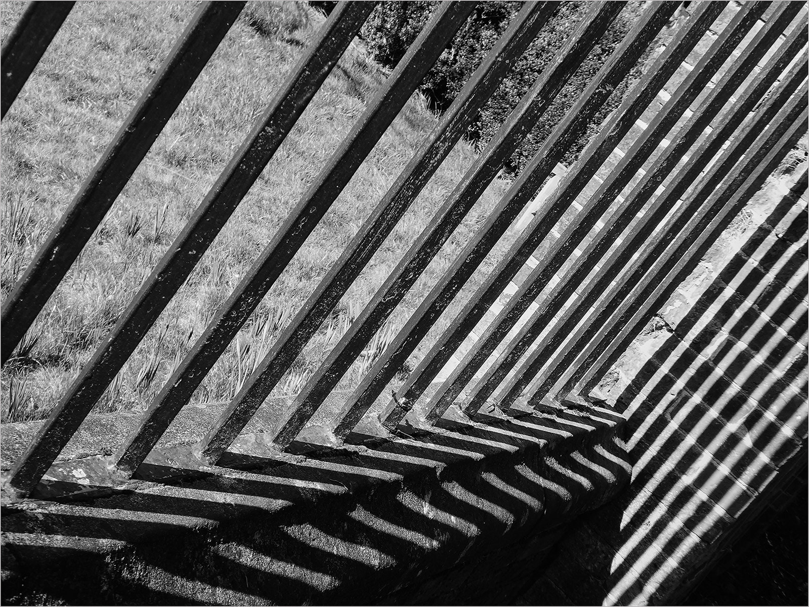 Commended Spring Shadows by Sheila Purvis
