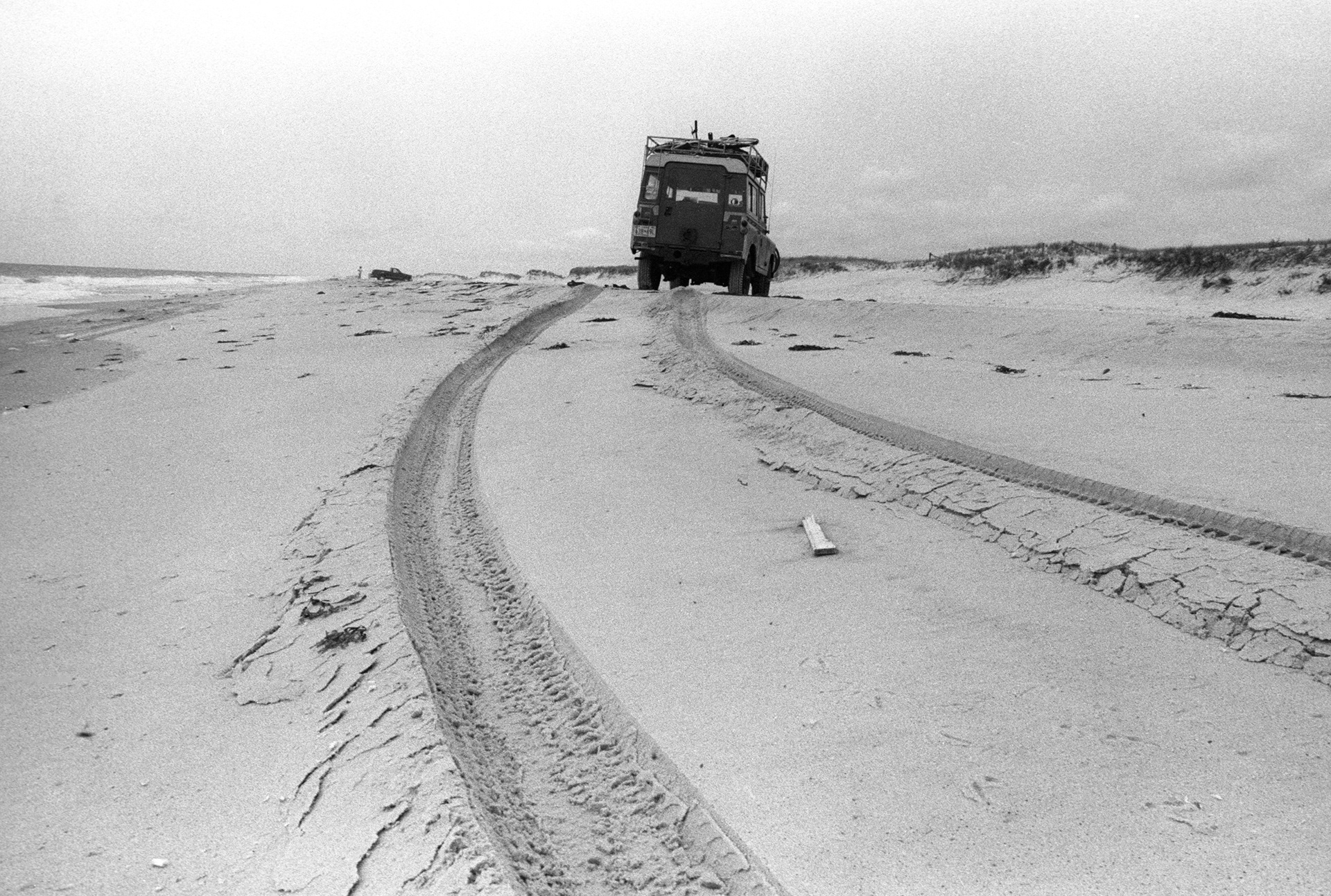 Assateague Island, Maryland