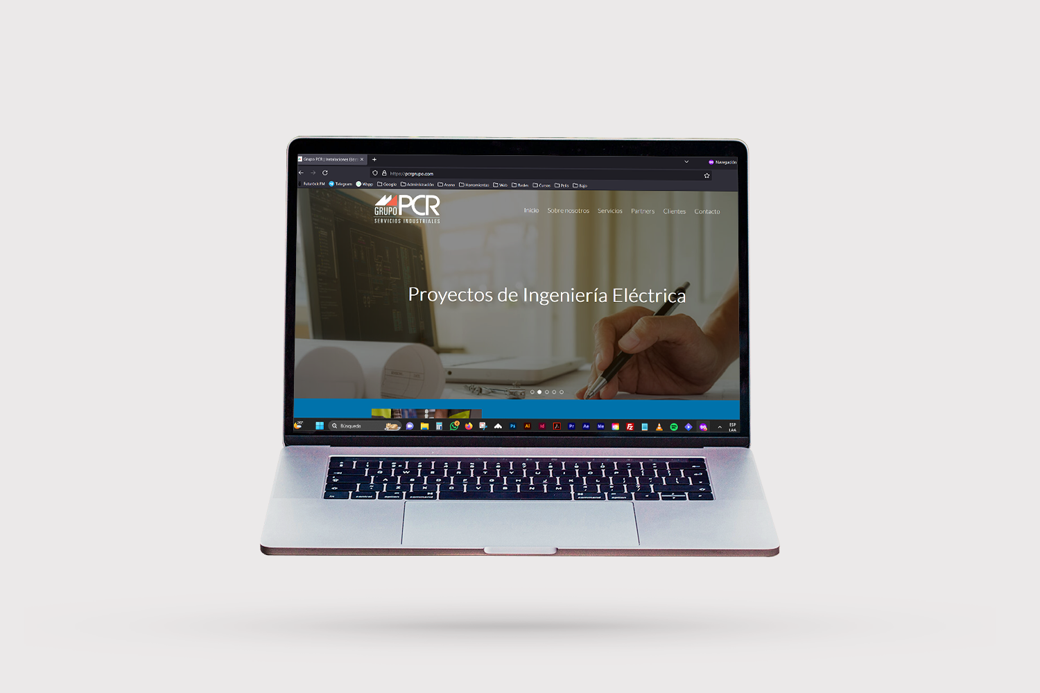 diseño web PCR