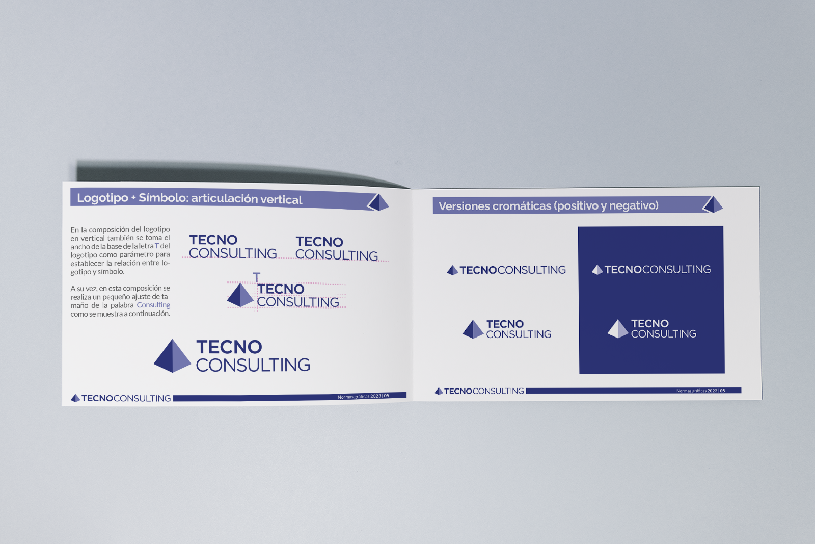 Manual de Básico de Normas de Tecno Consulting
