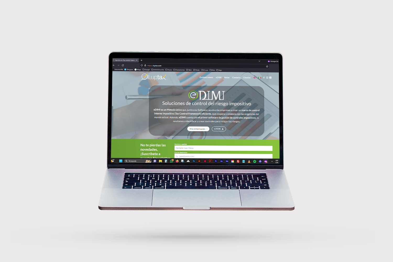 diseño web luptax