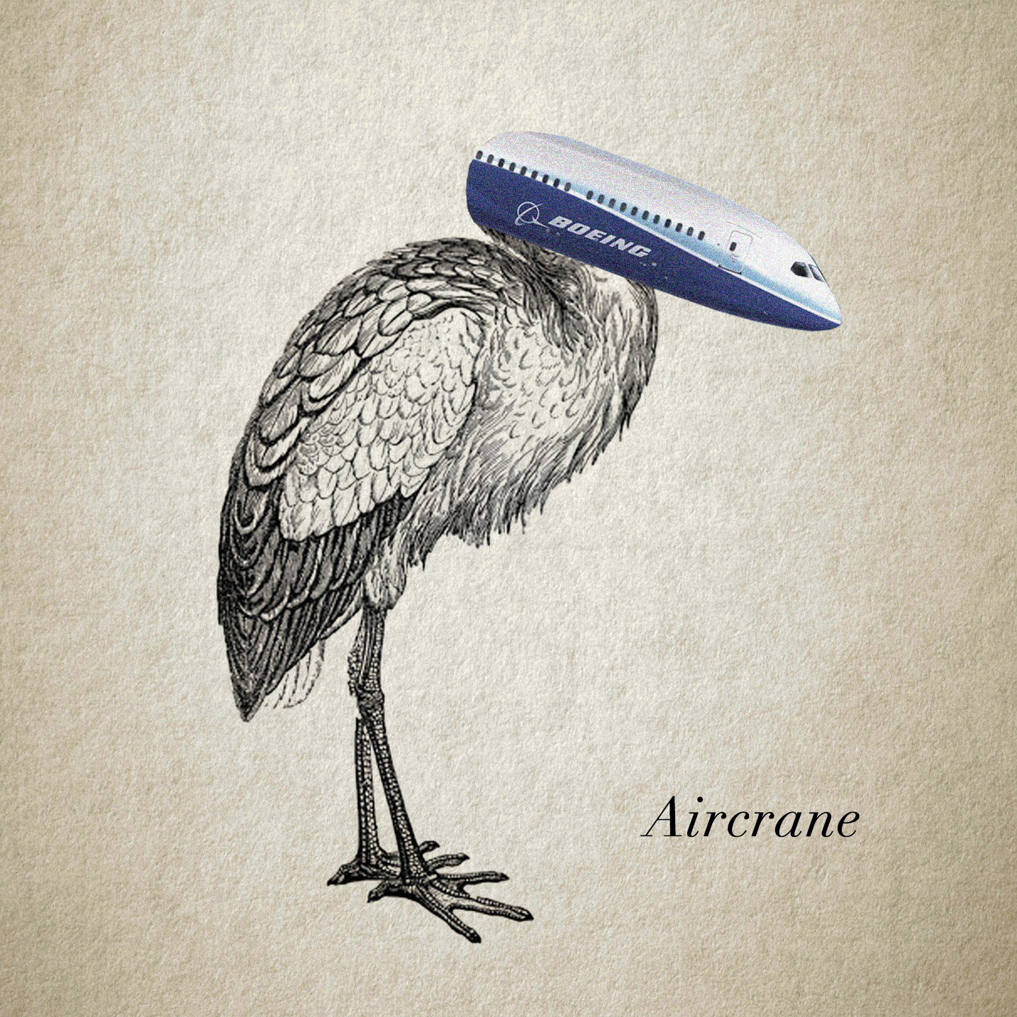 Aircrane