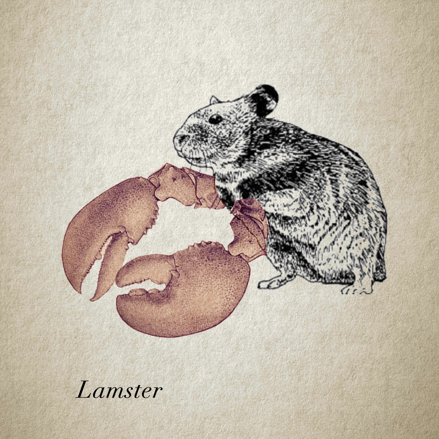 Lamster