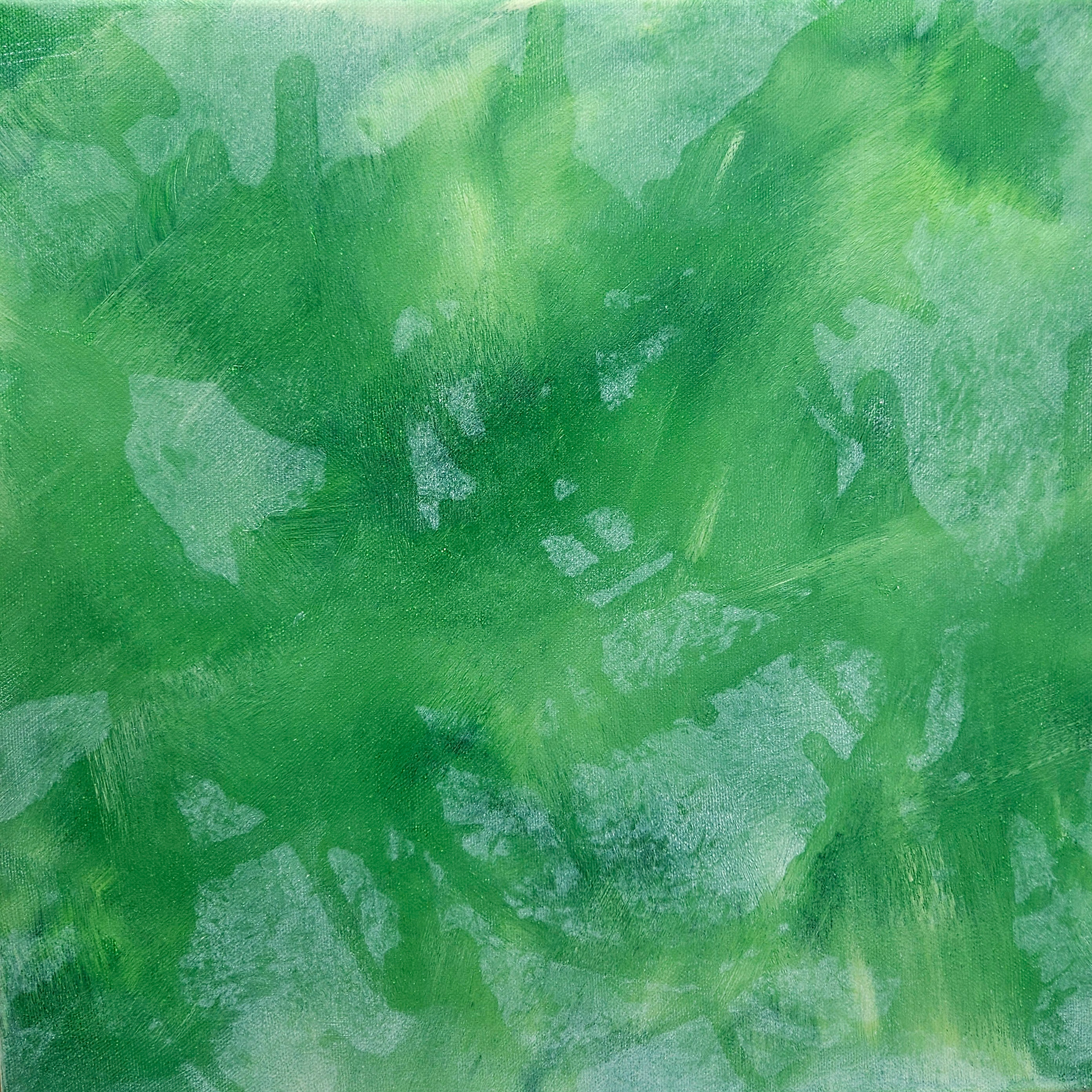 ​Background Texture Study 02 [ Accidental Forest · 우연의 정적 ] (2026)