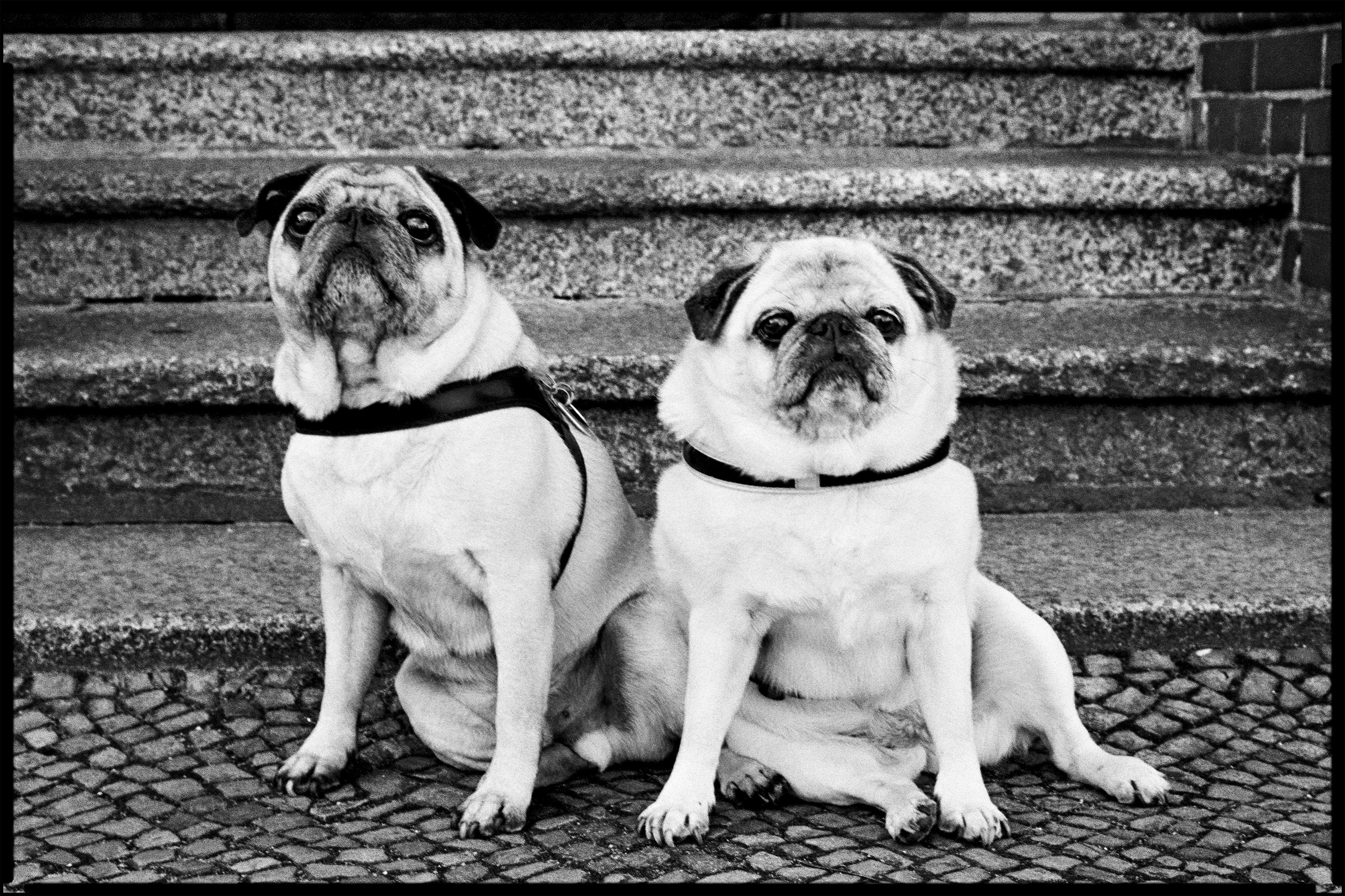 Paula & Arthus