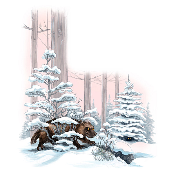 Wolverine