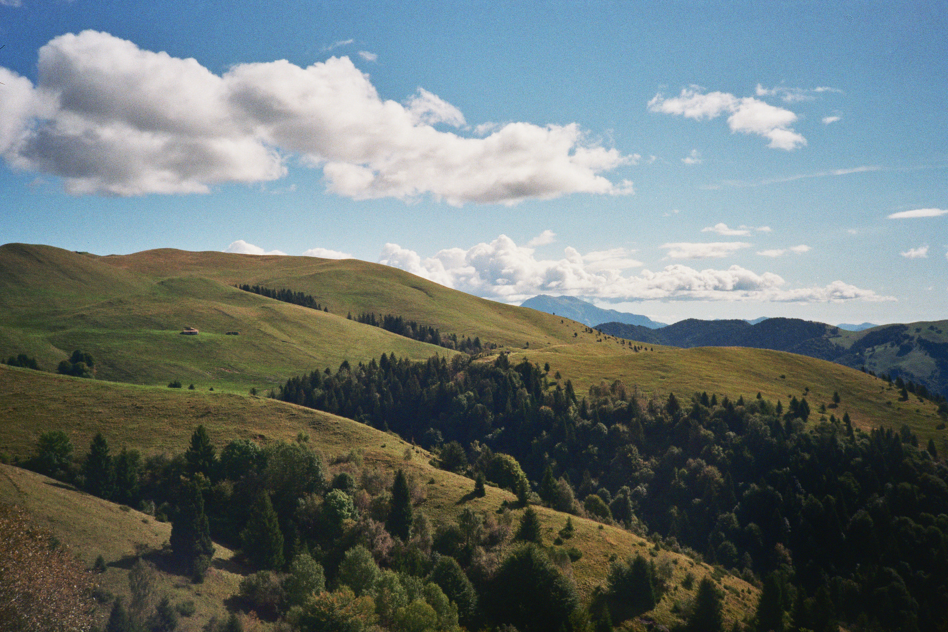 Parafulmen - Olympus XA1