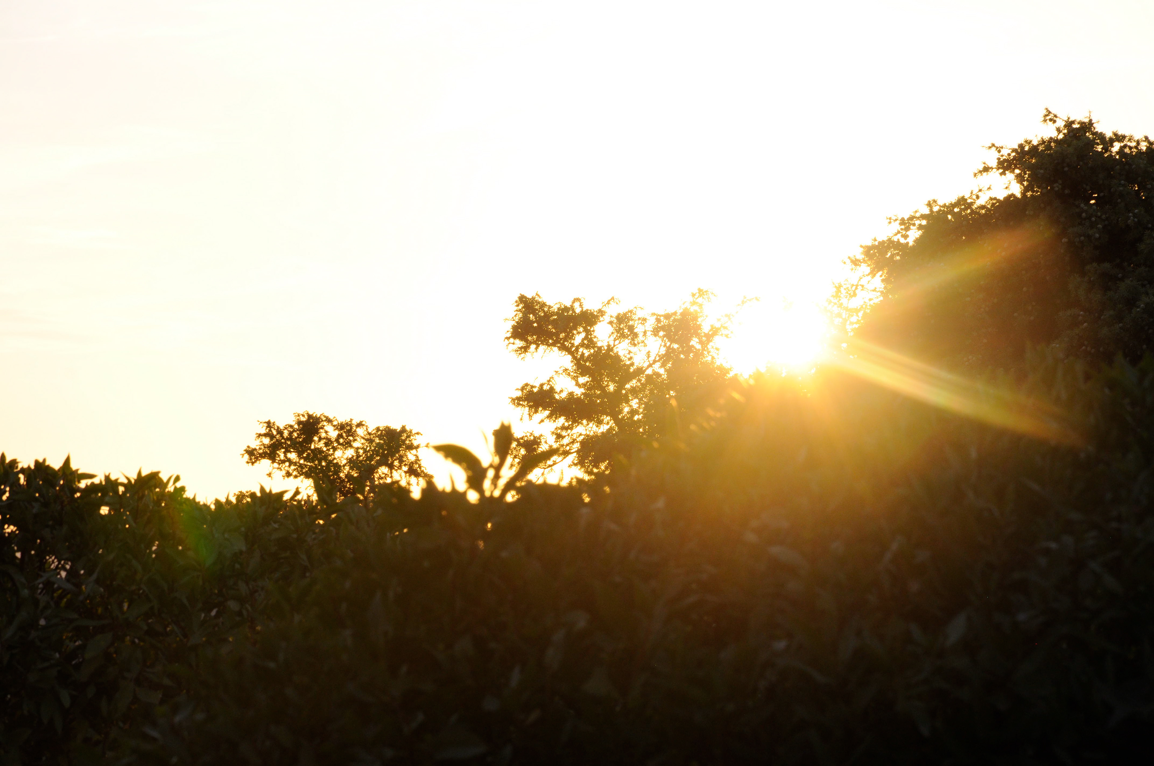 Santa Reparata, Sardegna