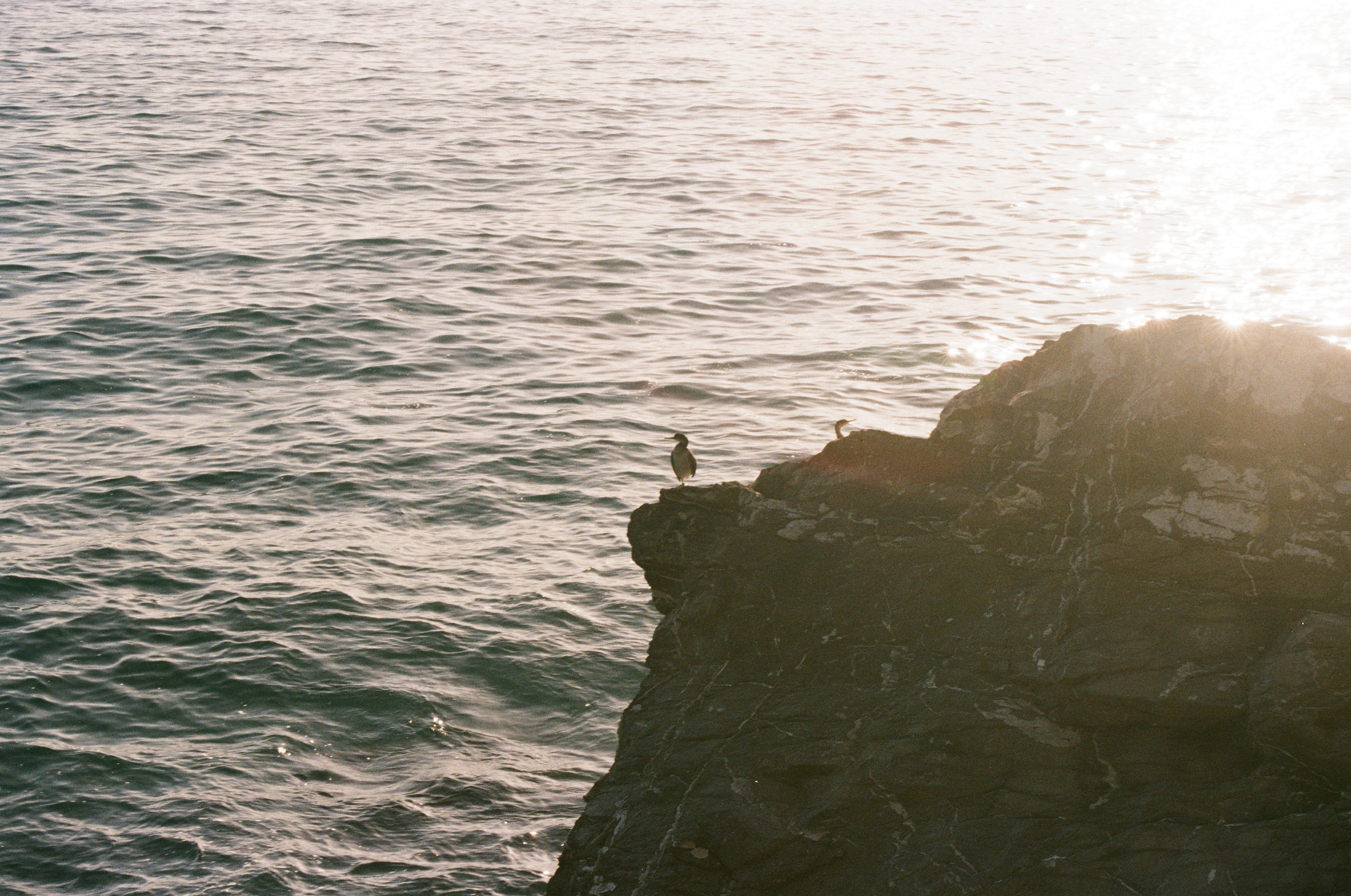 Paraggi - Nikon F-601, Lomography 35mm 100