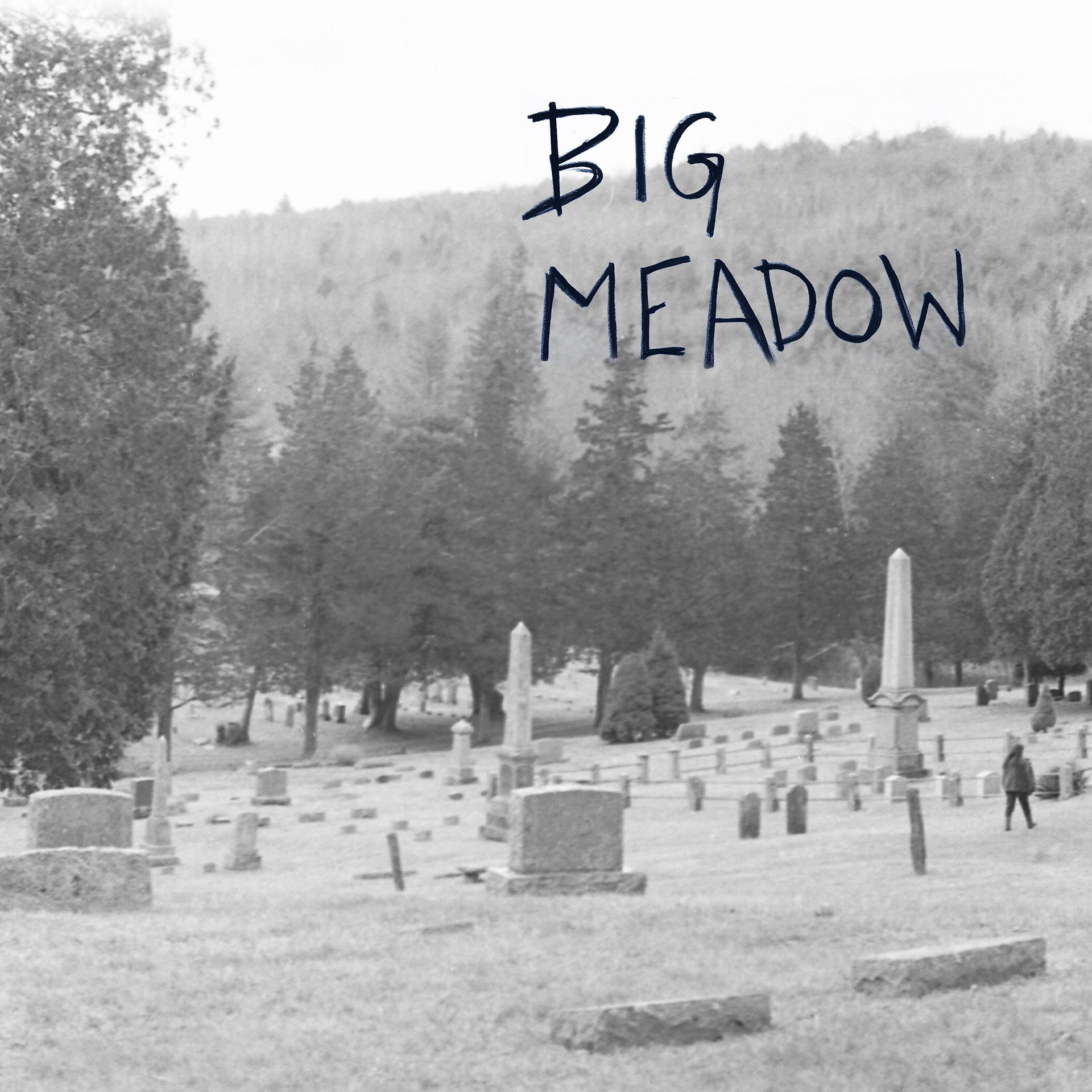 BIG MEADOW