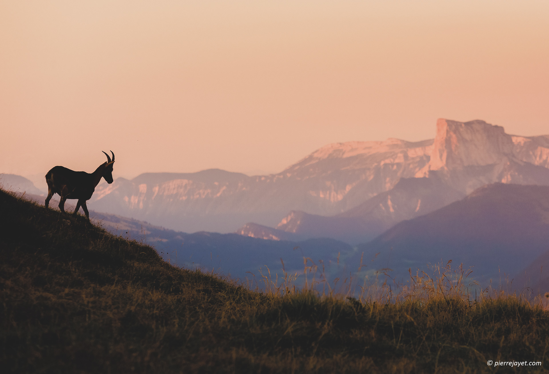 PHOTOGRAPHE DU PATRIMOINE NATUREL, CULTUREL ET ARCHITECTURAL EN ISÈRE
