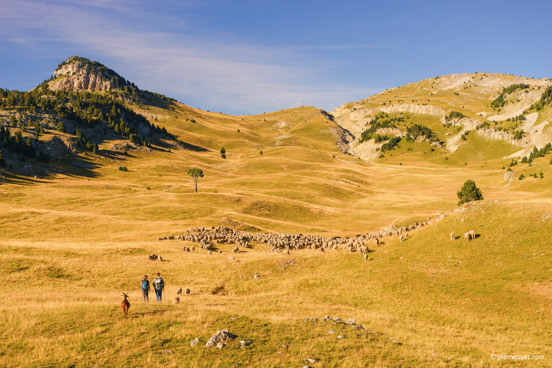 PHOTOGRAPHE DU PATRIMOINE NATUREL, CULTUREL ET ARCHITECTURAL EN ISÈRE