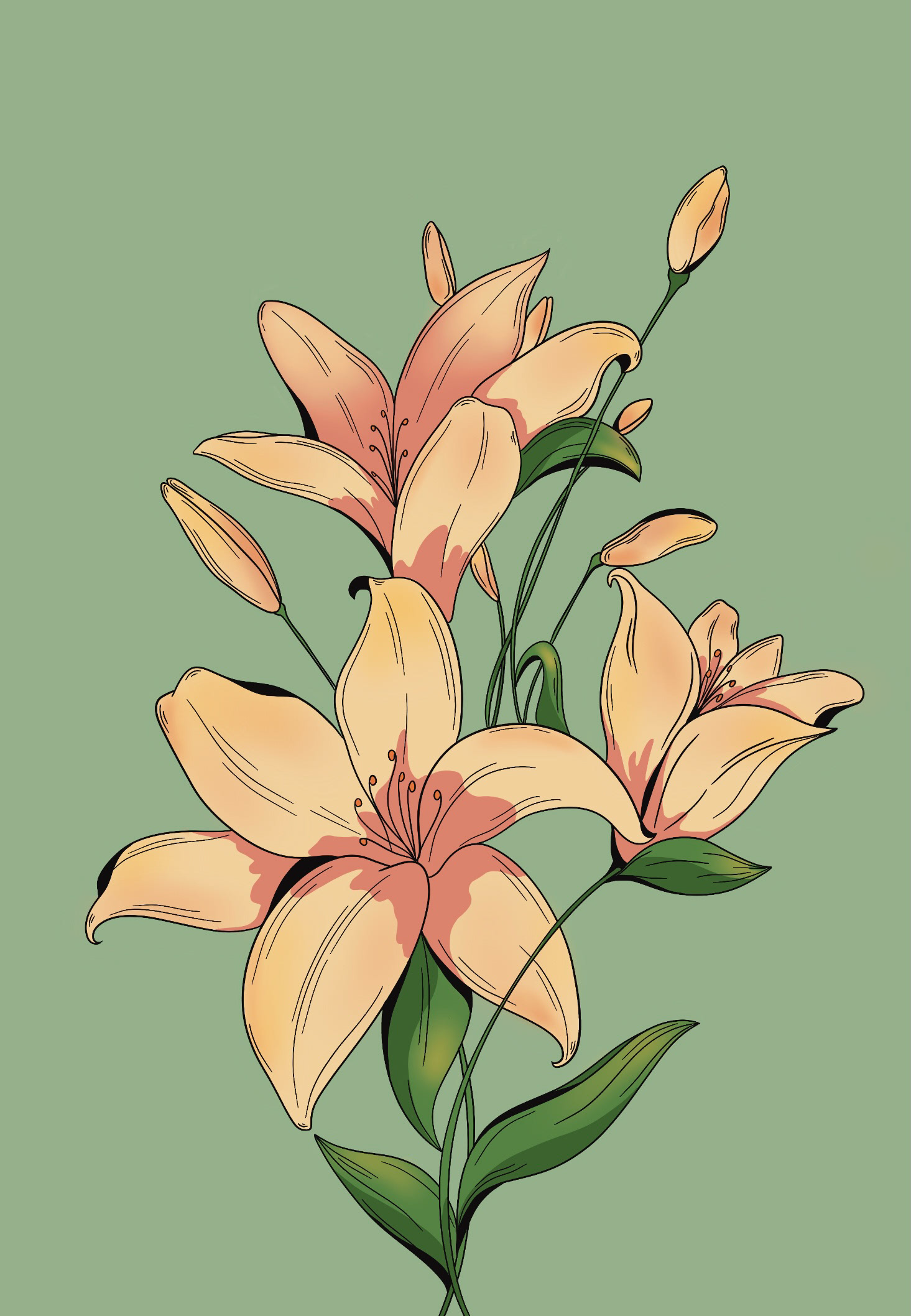 Lillies