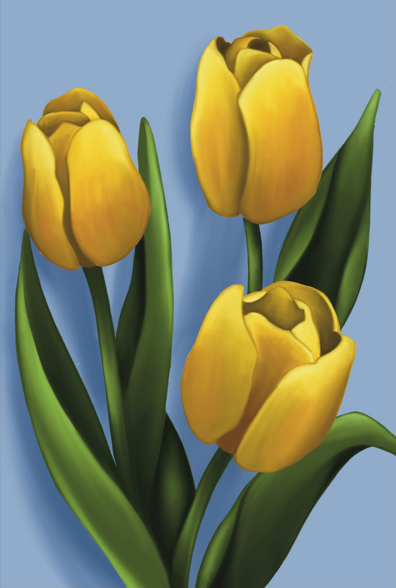Yellow Tulips