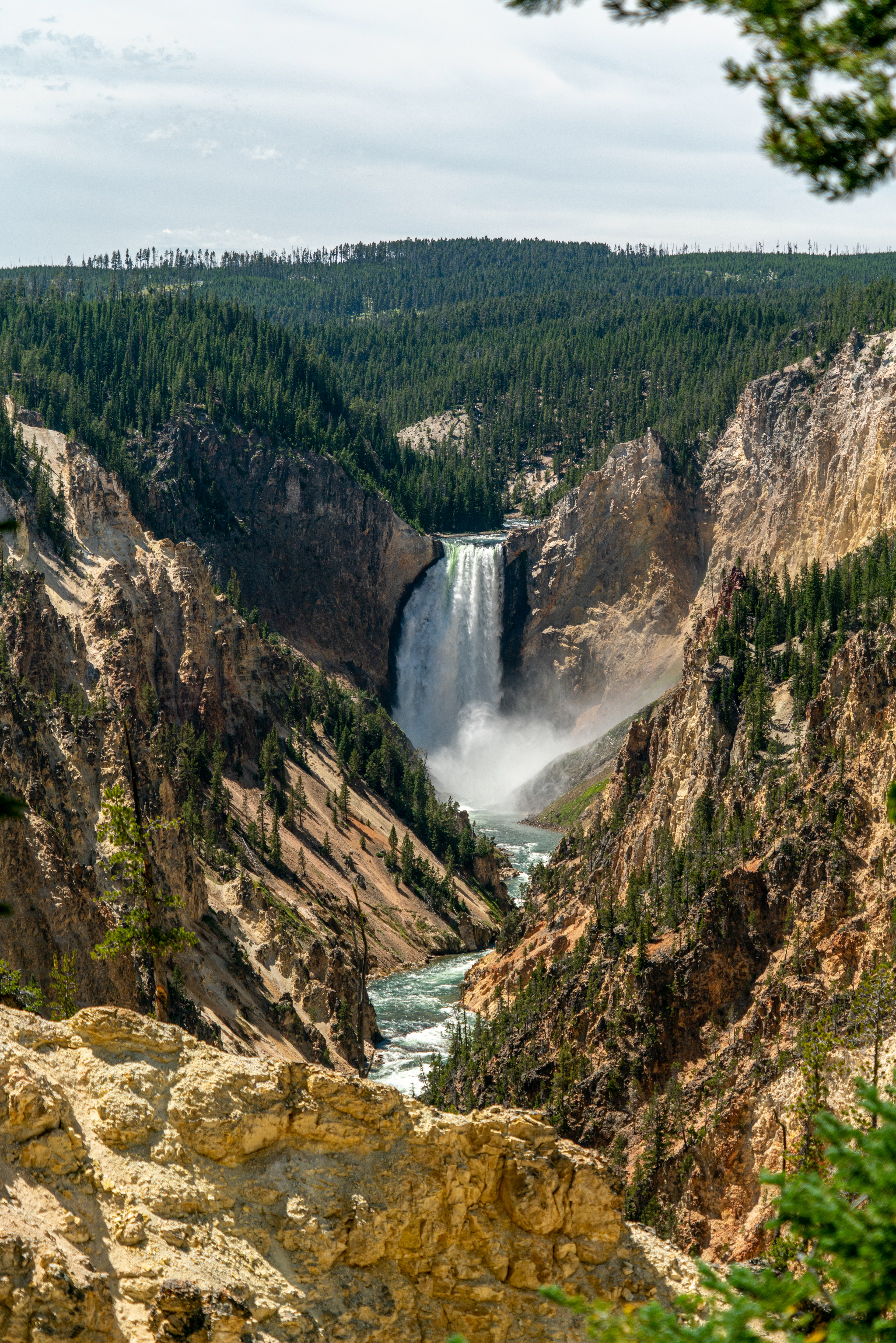 Grand Canyon of the Yellowstone (5x7, $50)