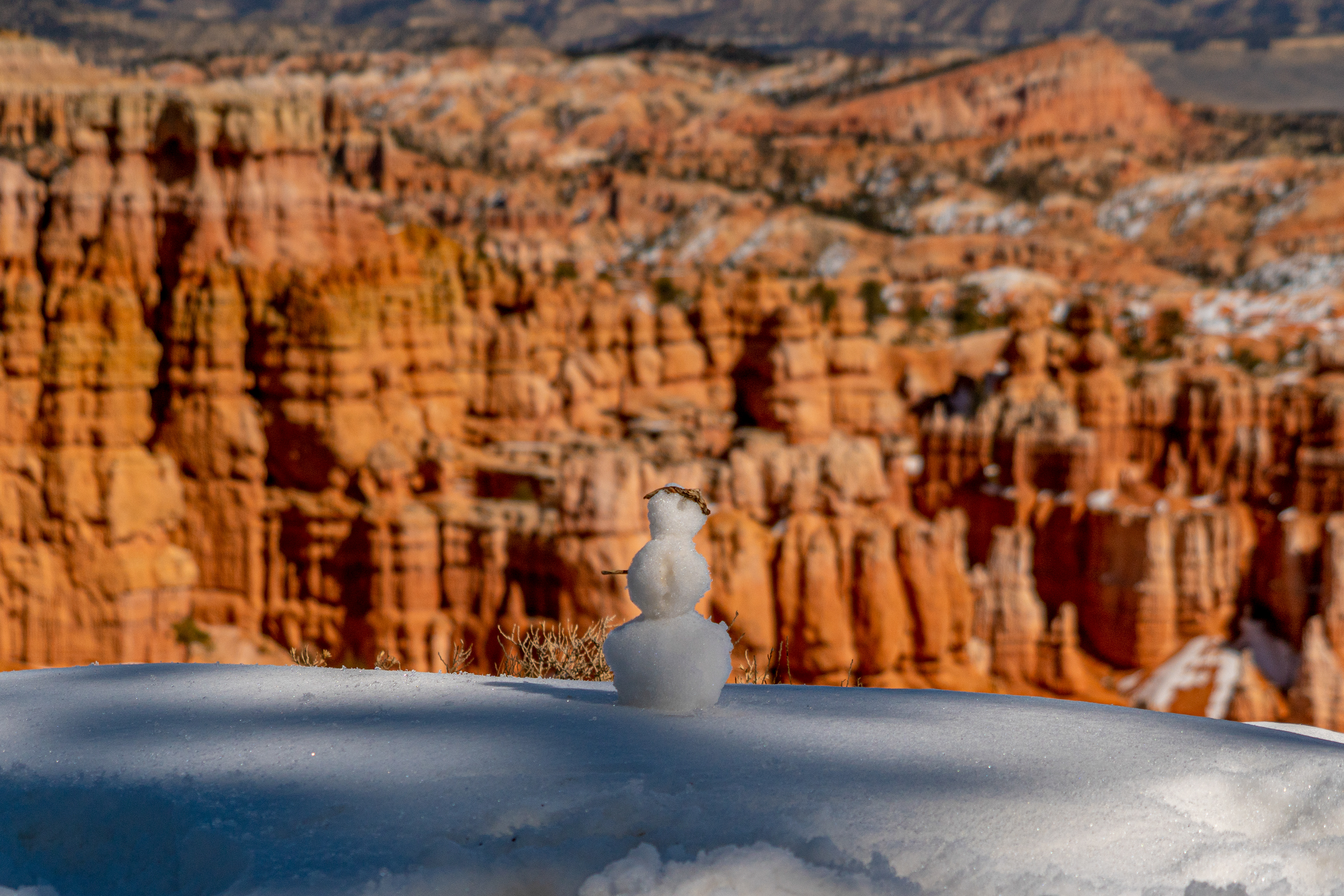 Winter, Bryce Canyon National Park (11x14, $100)