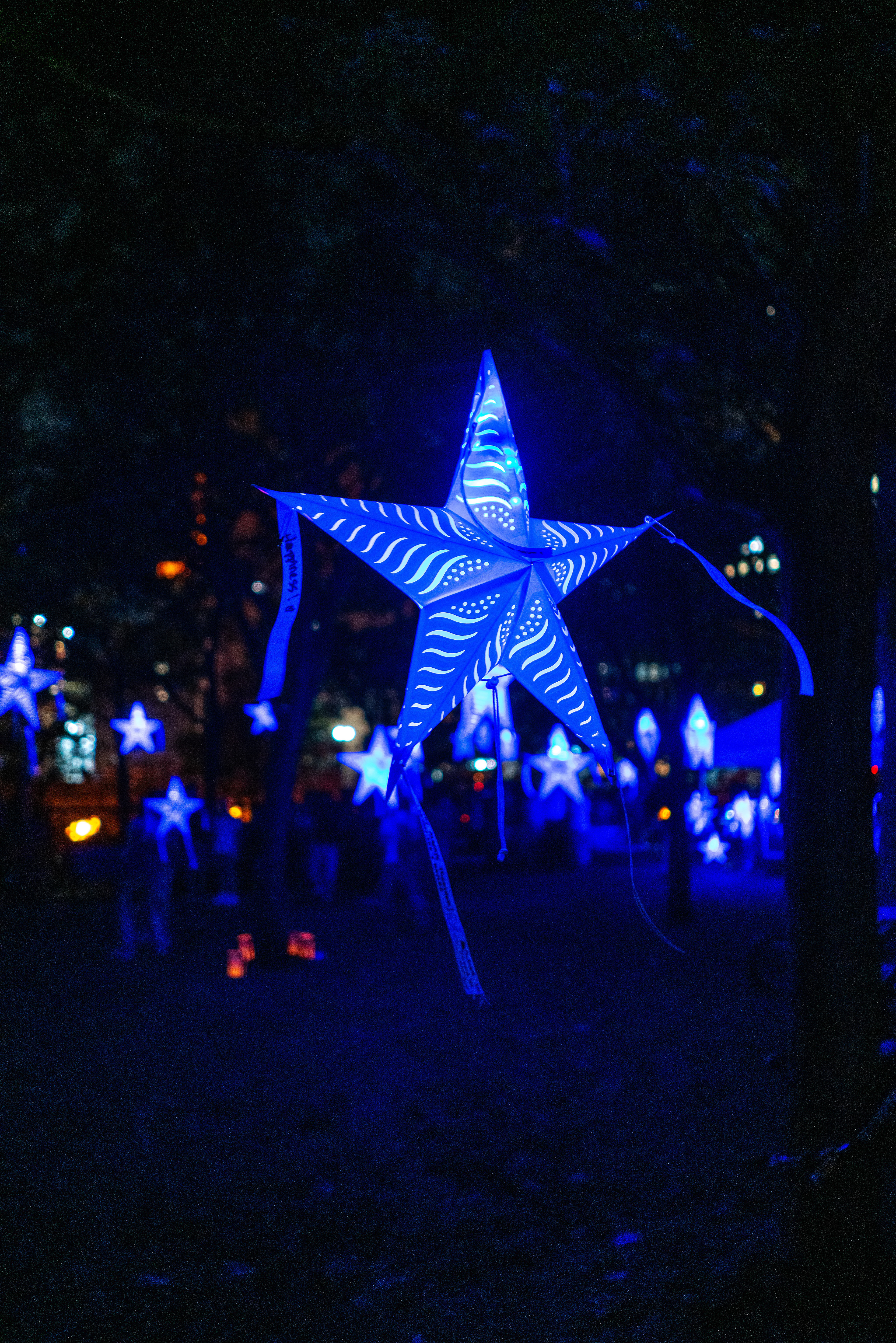Starry, Starry Night
