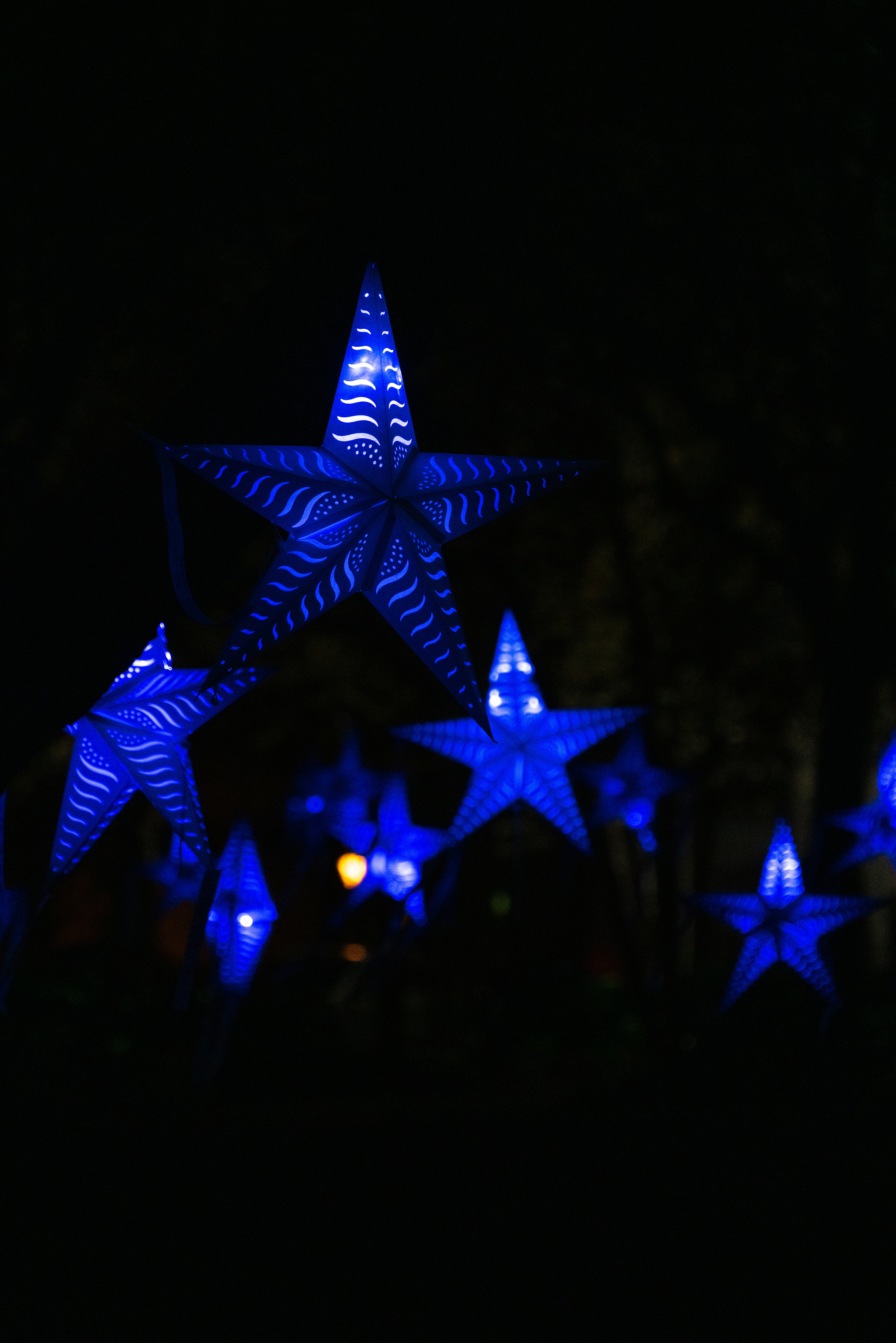 Starfield