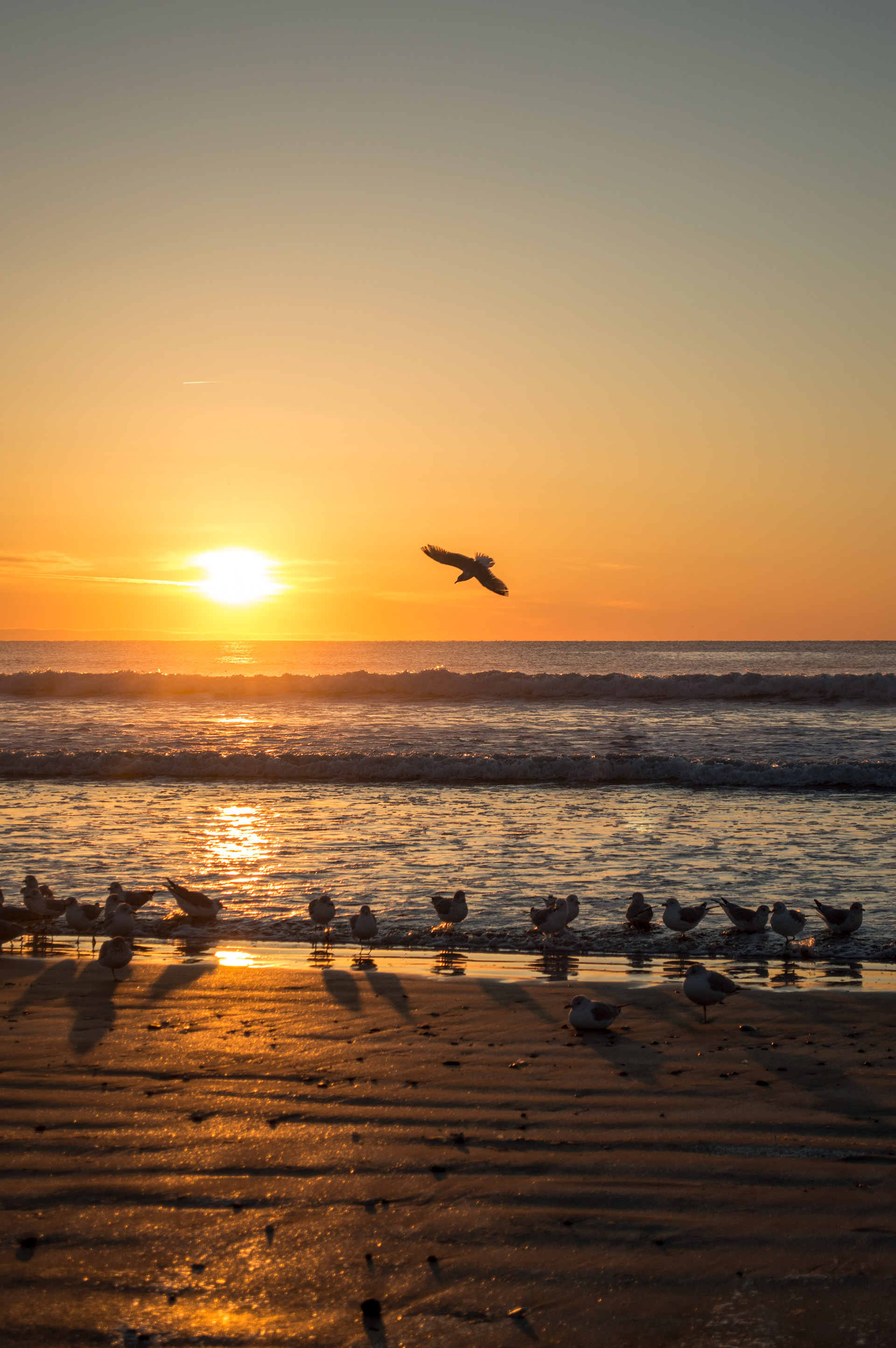 Sunrise, Narragansett Town Beach