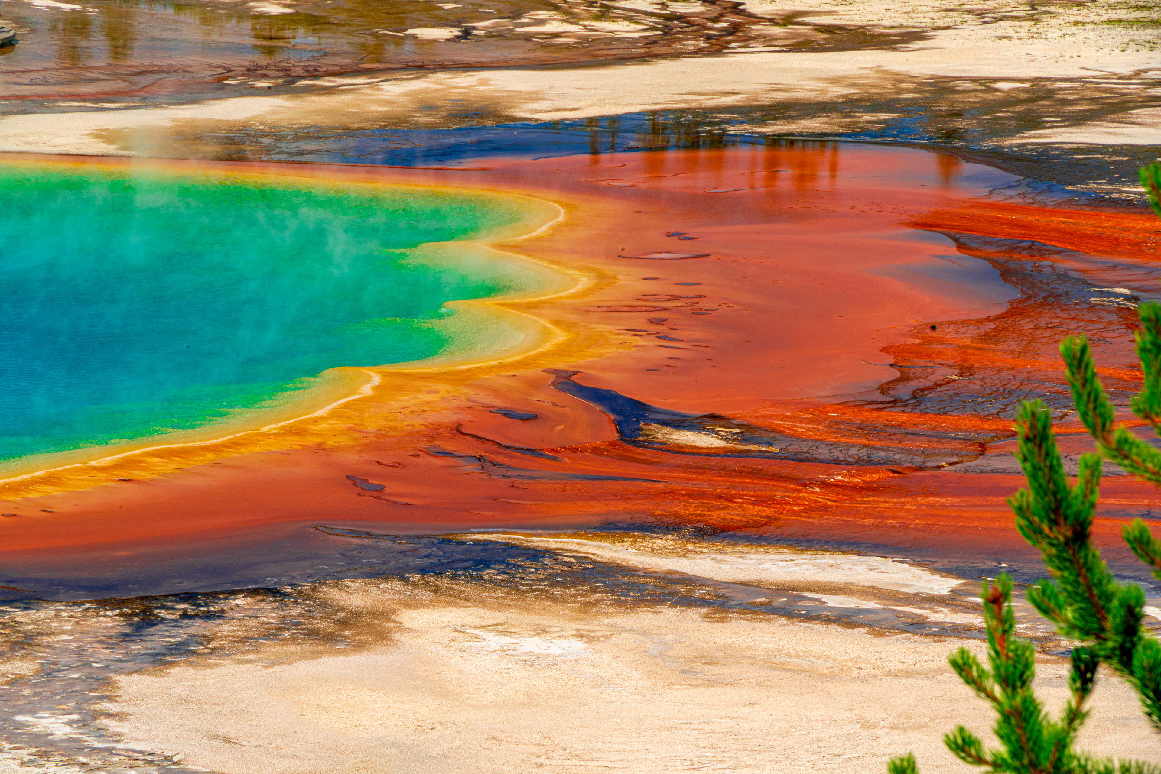 Grand Prismatic Spring, Yellowstone National Park | 5x7 | $15
