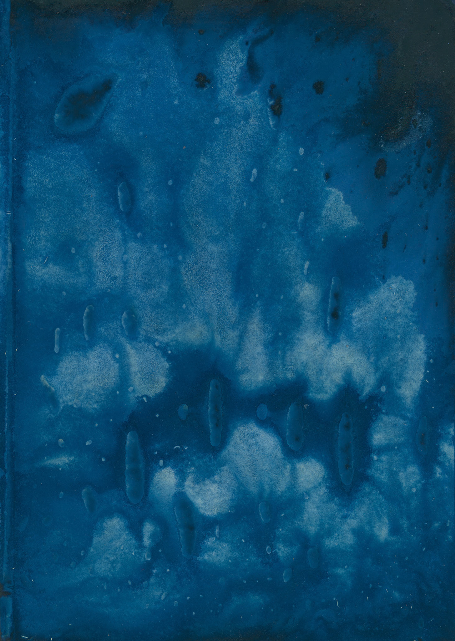 Sin título, 2023.  de la serie (Des)paisajes. Cianotipo, 30 x 20 cm.