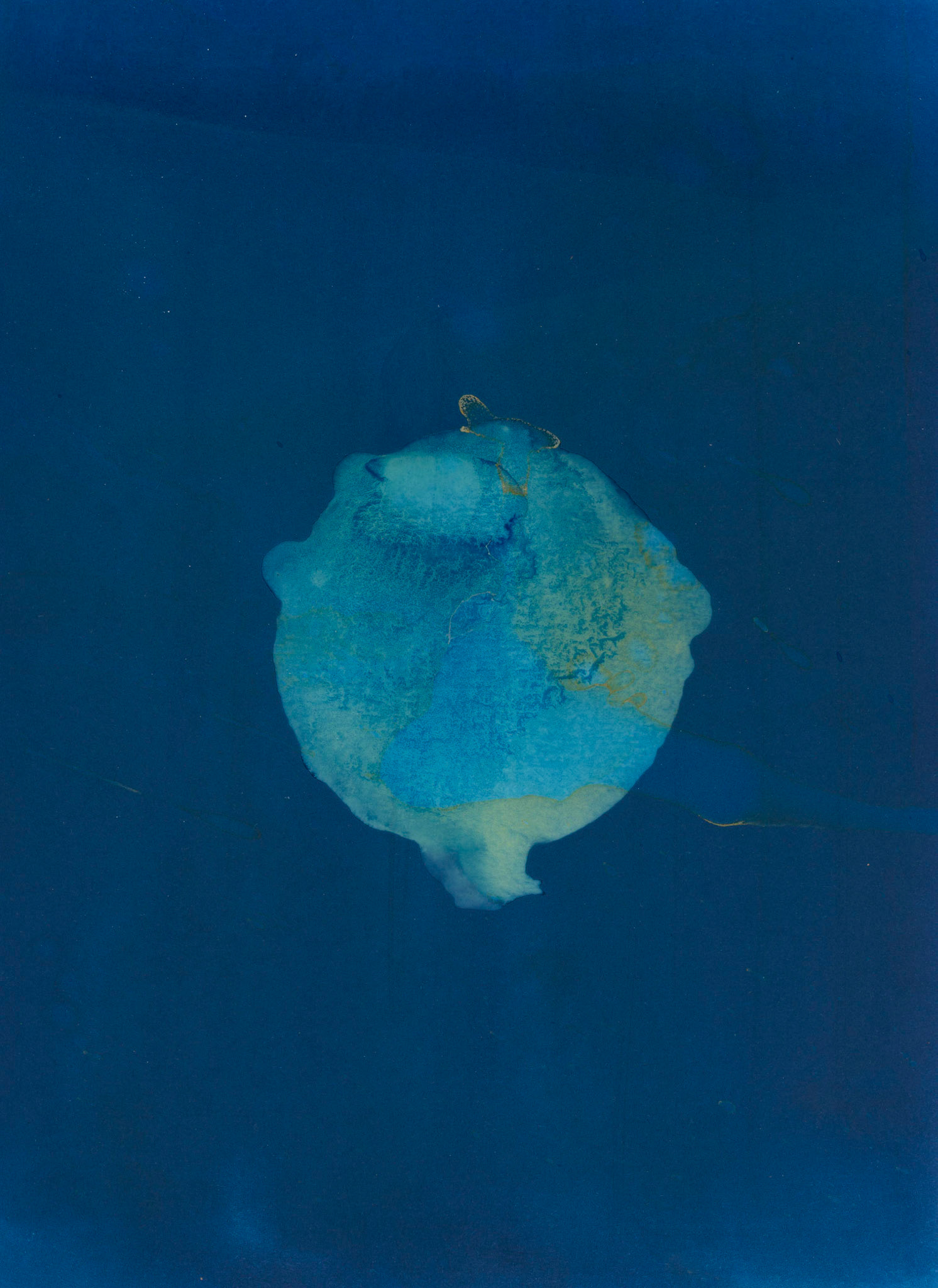 Sin título, 2023.  de la serie (Des)paisajes. Cianotipo, 30 x 20 cm.