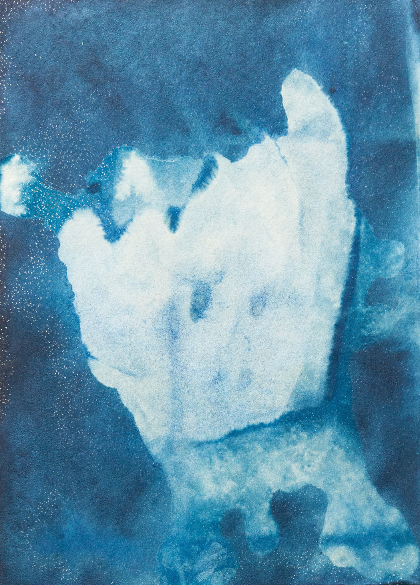 Sin título, 2023.  de la serie (Des)paisajes. Cianotipo, 30 x 20 cm.