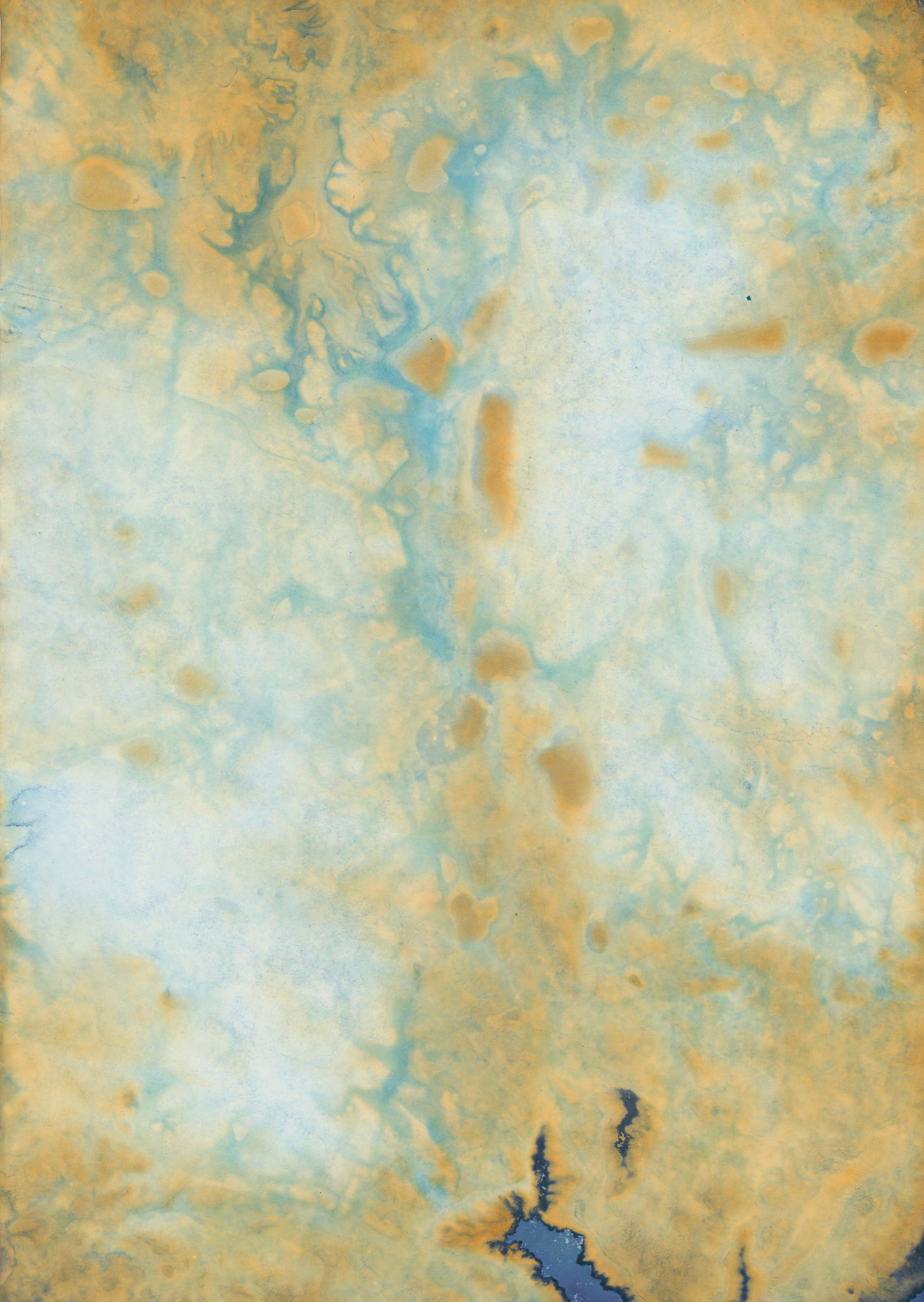 Sin título, 2023.  de la serie (Des)paisajes. Cianotipo, 30 x 20 cm.