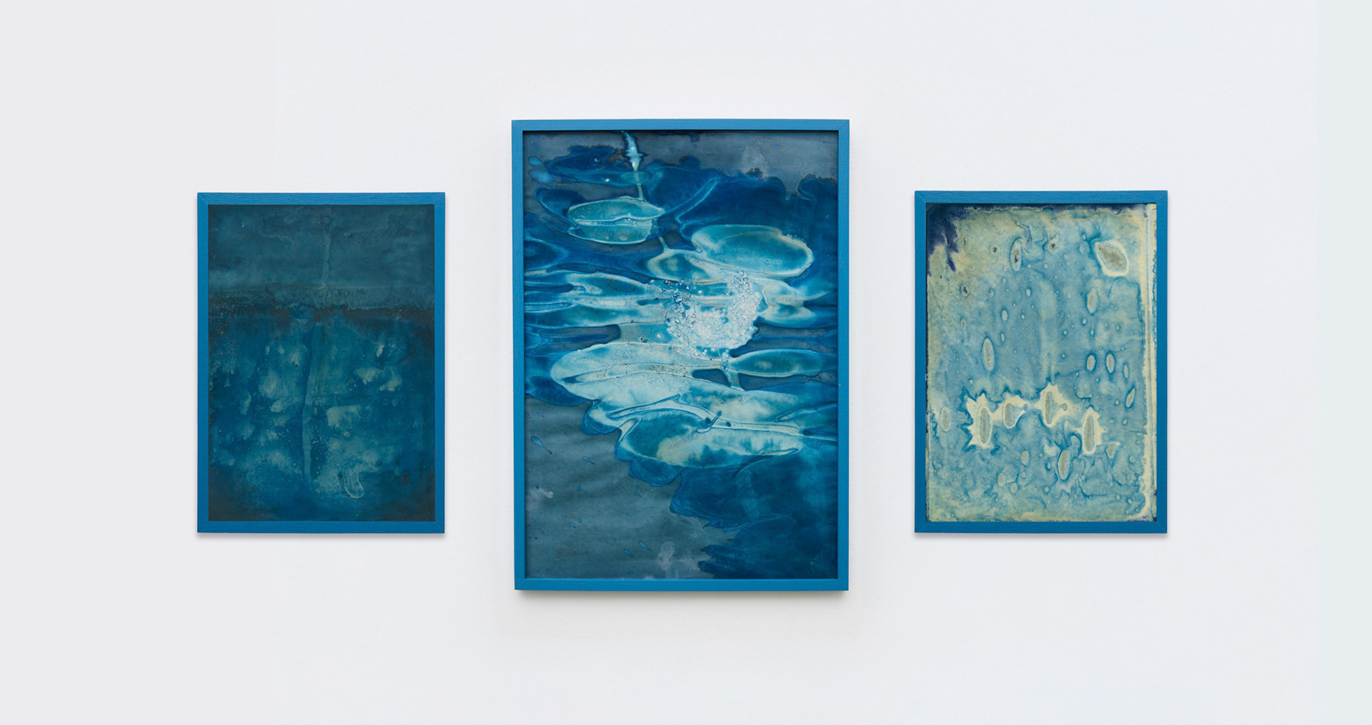 Serie (Des)paisajes, 2023. Cianotipos gofrados. Ferroprusiato y agua sobre papel bookcel,  Tres piezas bidimensionales enmarcadas sin vidrio, 42 x 87 x 2 cm. 