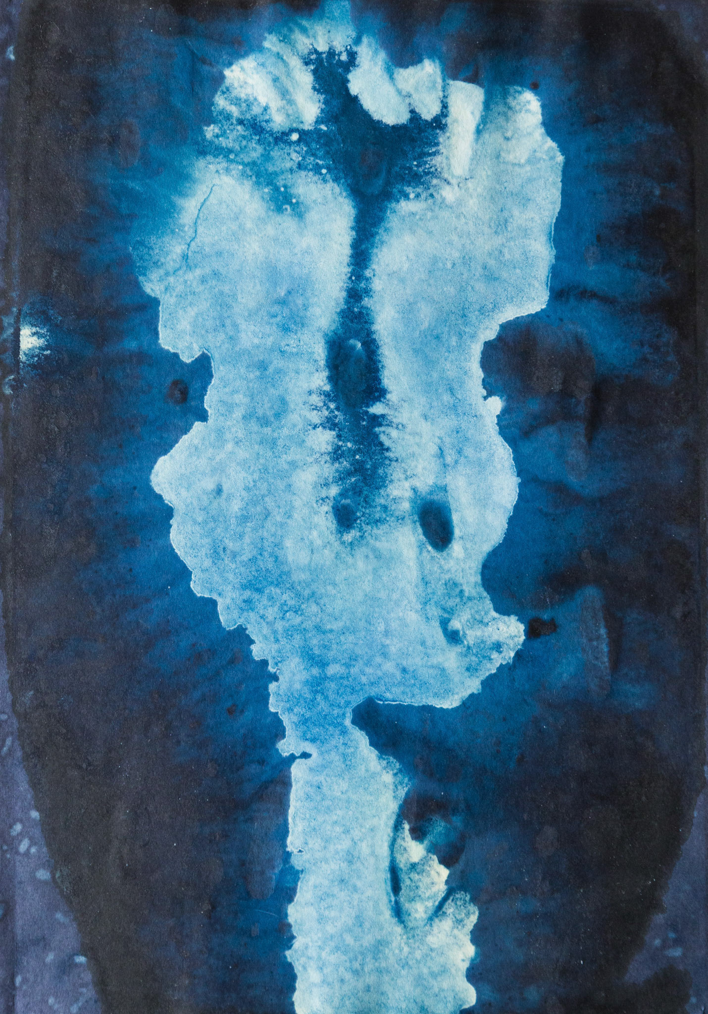 Sin título, 2023.  de la serie (Des)paisajes. Cianotipo, 30 x 20 cm.