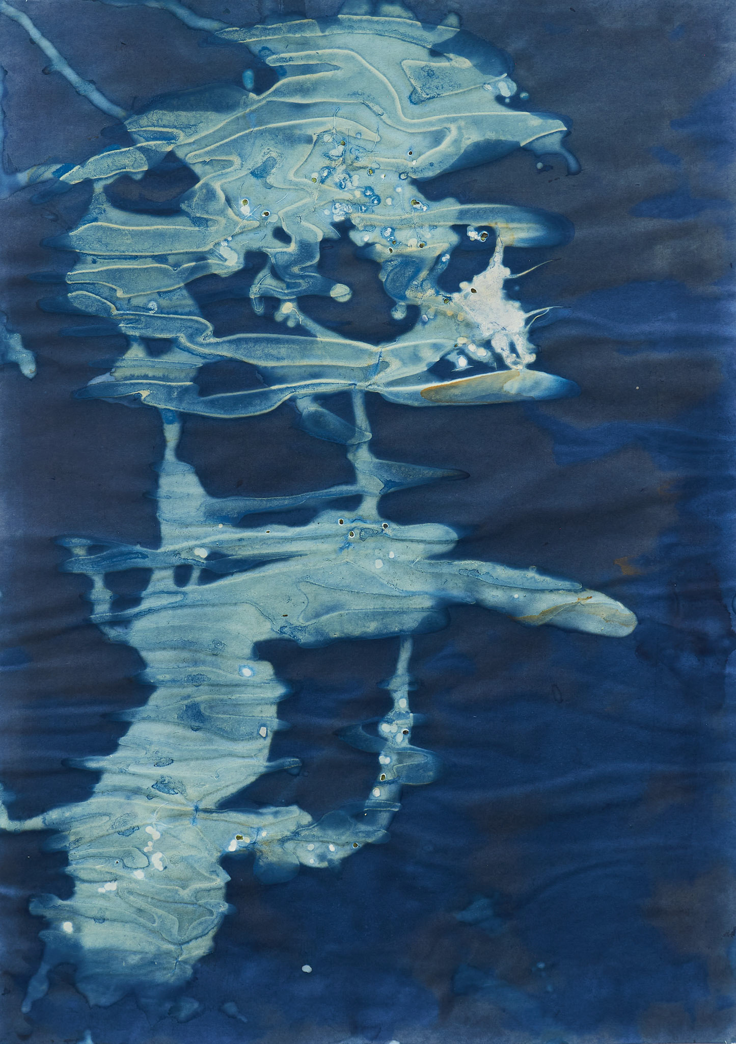 Sin título, 2024.  de la serie (Des)paisajes. Cianotipo, 40 x 30 cm.