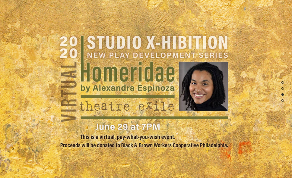 Director Zoom Reading 2020