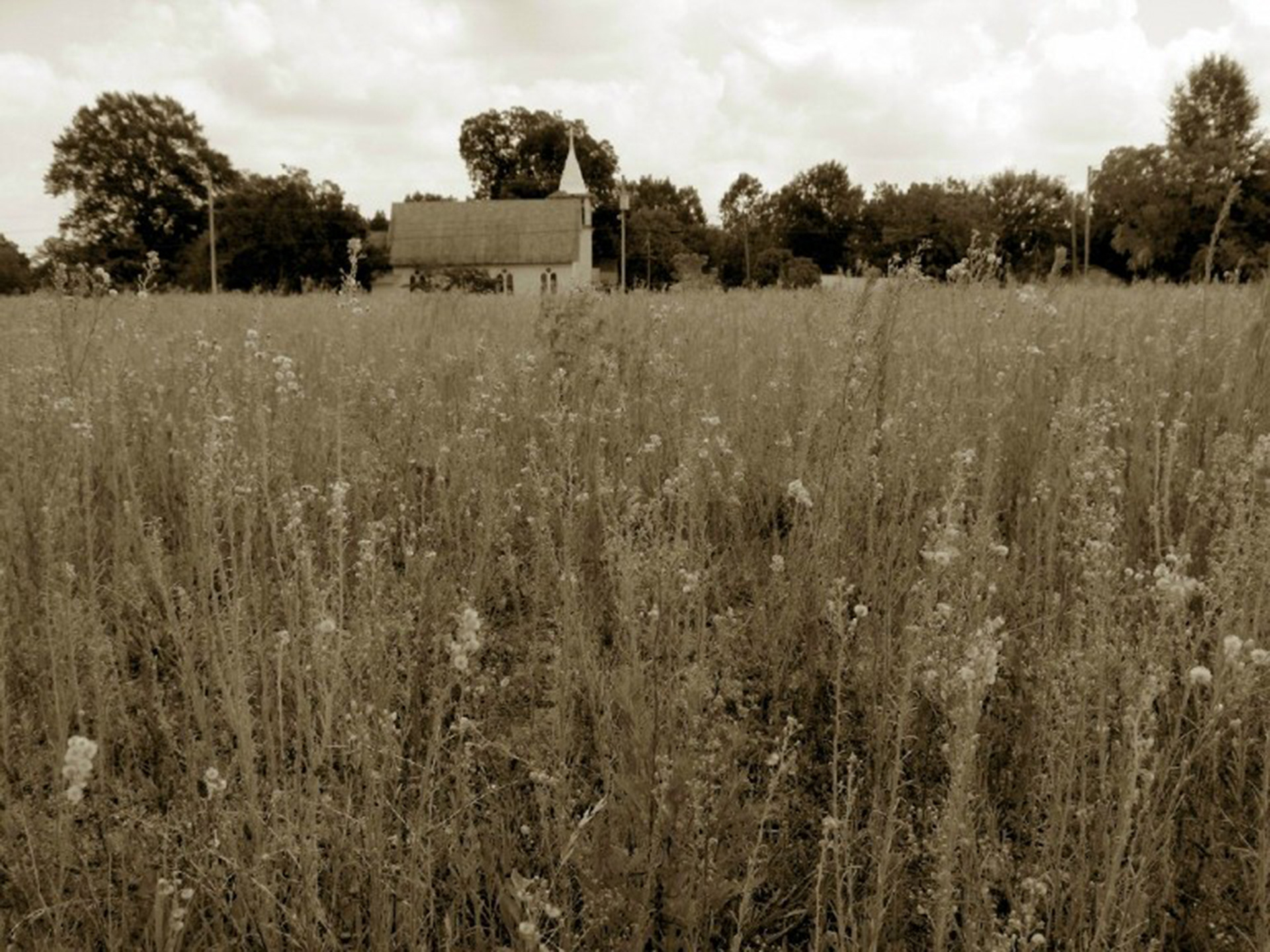 A sepia colored picture with a church in the horizon with a field in the foreground.