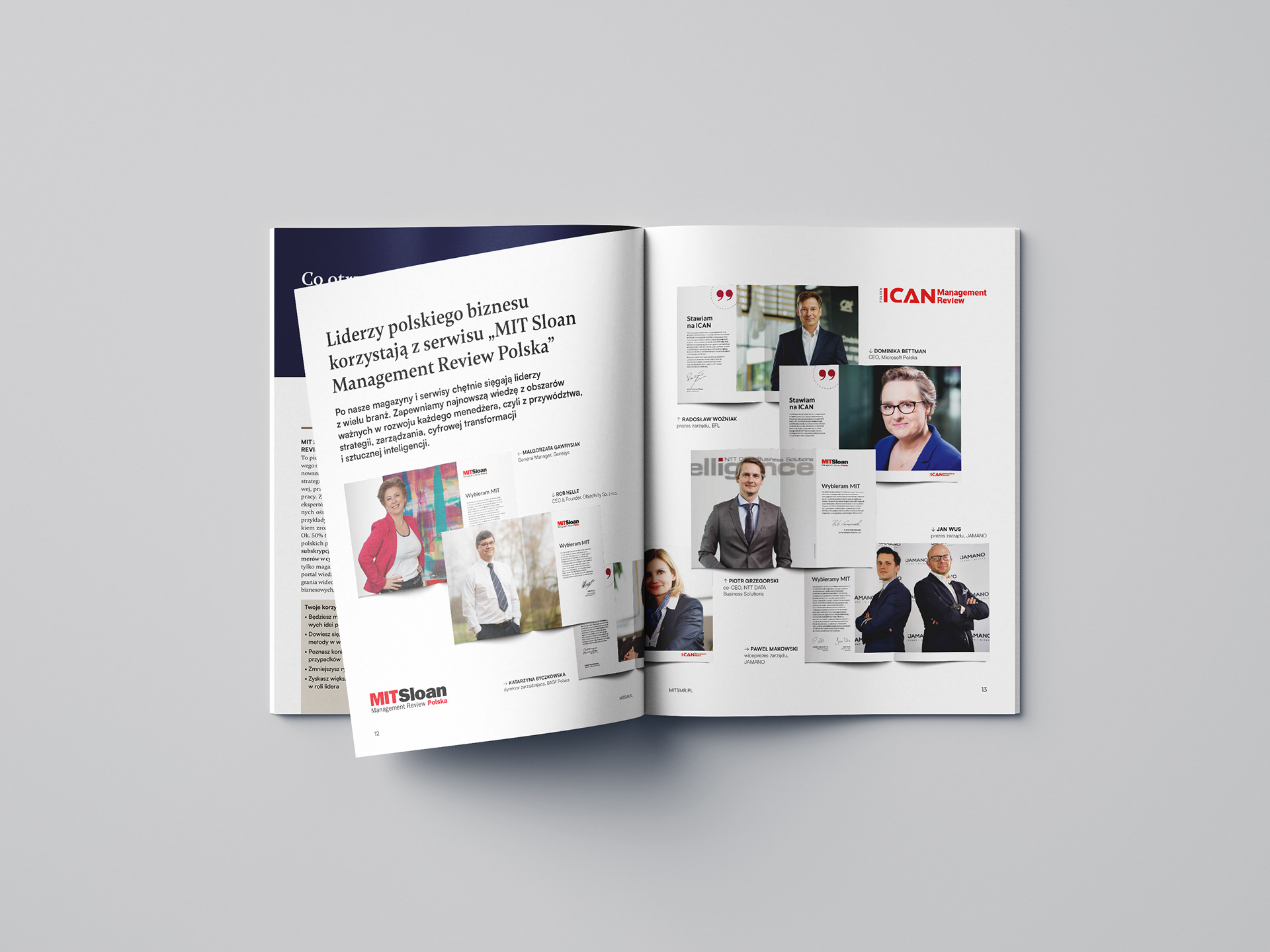 Sales brochure design