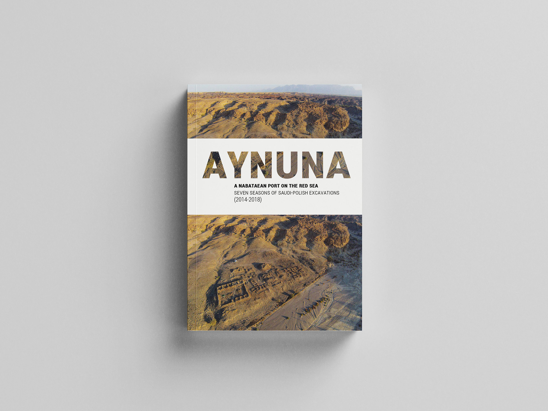 'Aynuna' book cover project