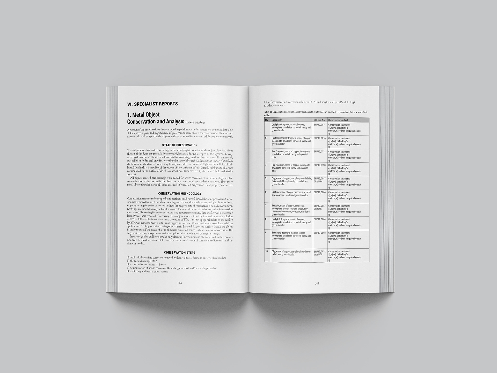 Book layout project "Polish Mission, Saruq al-Hadid 2019  Final Report"