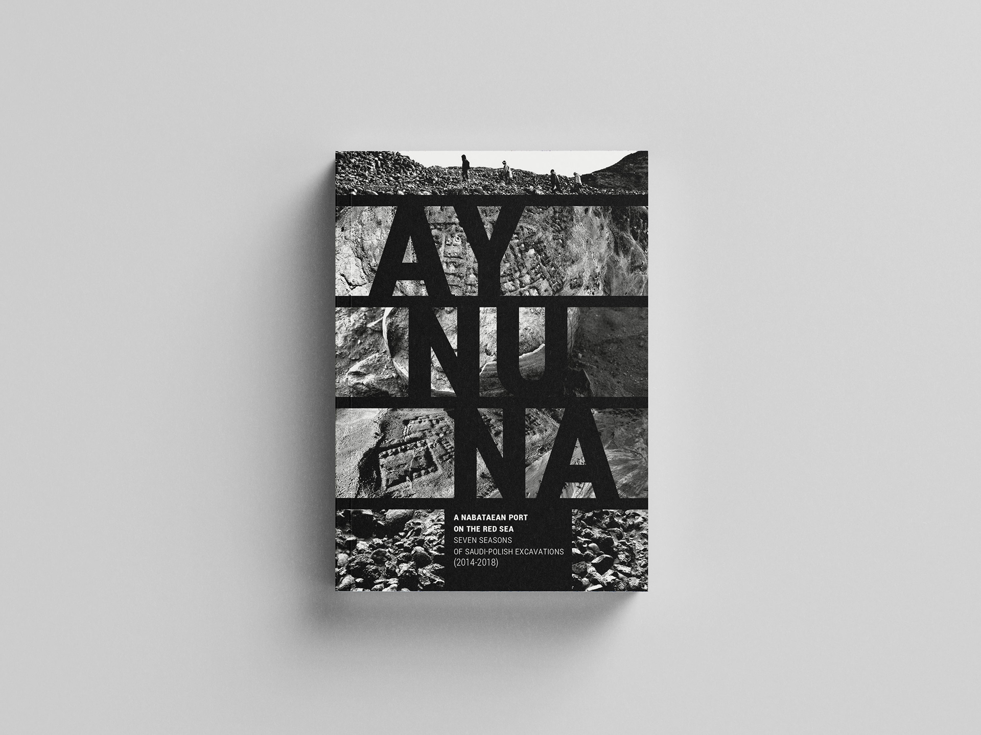 'Aynuna' book cover project (unrealized project)