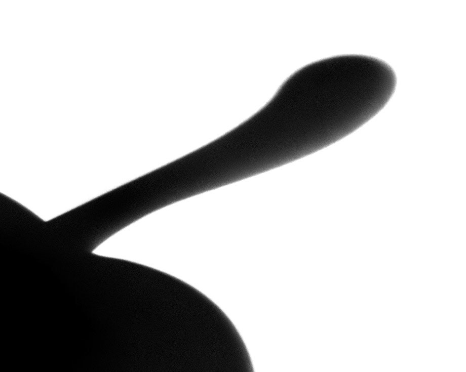 9 Shadow of an Apple