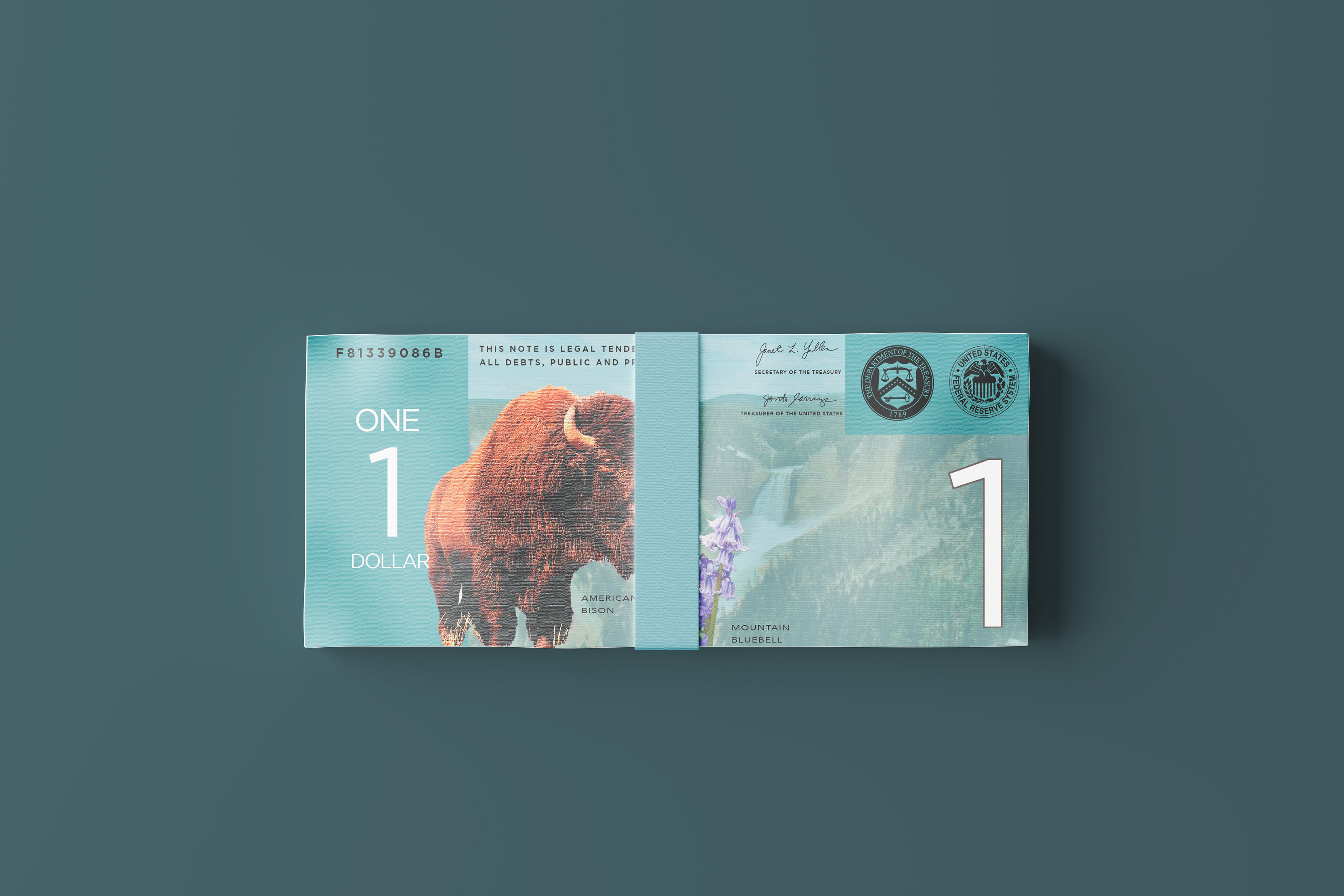 $1 Back