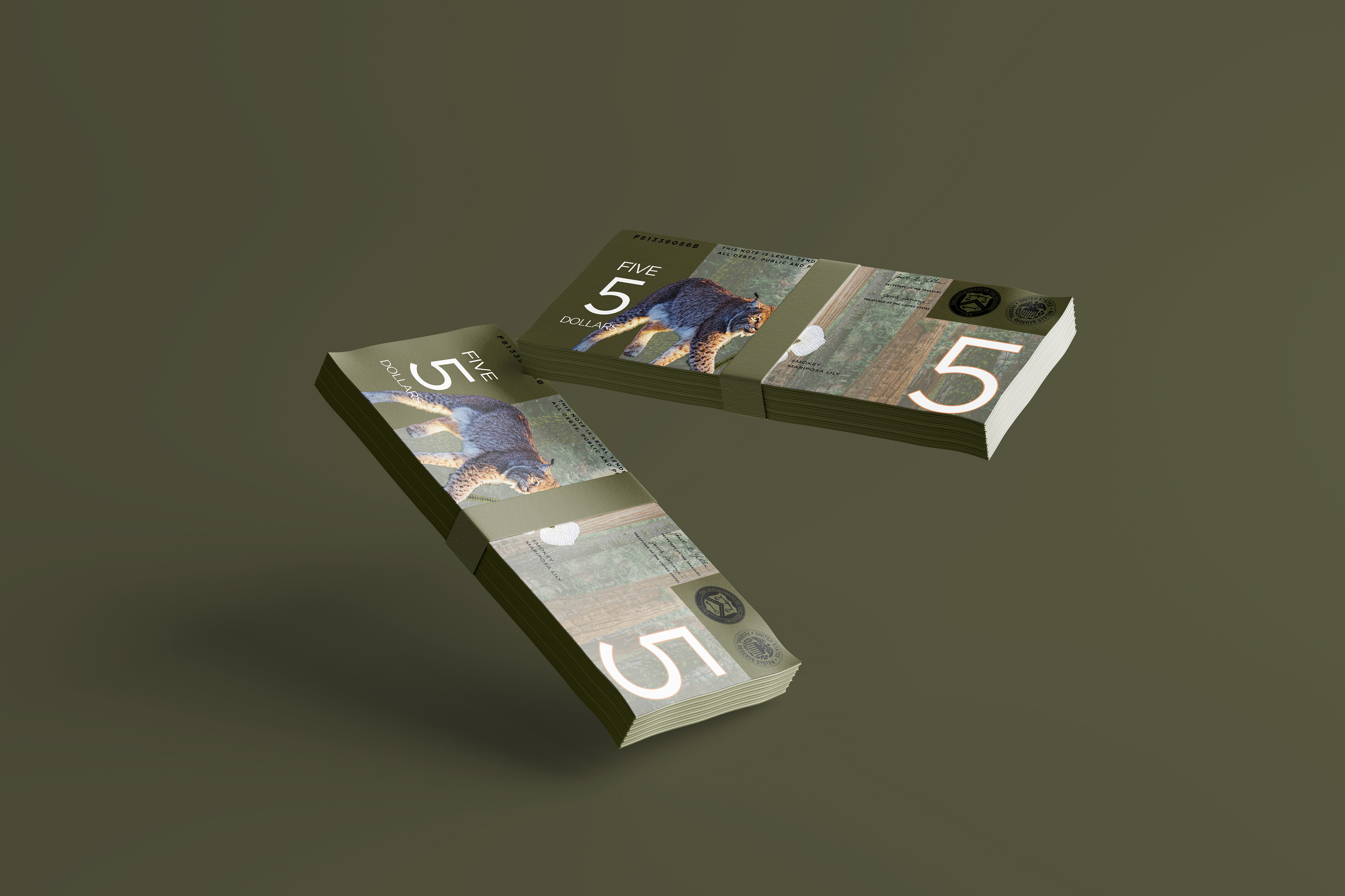 $5 Back