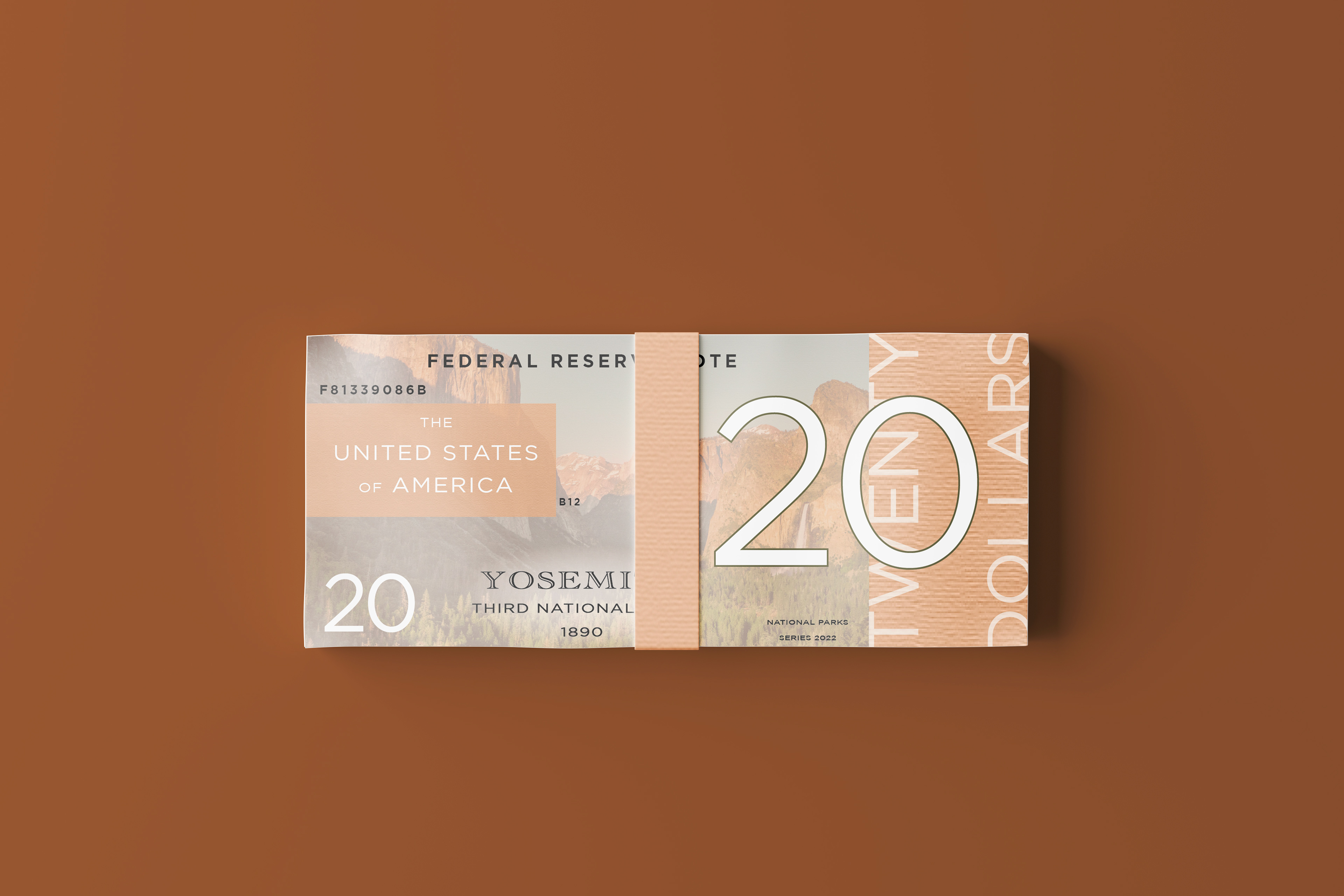 $20 Front