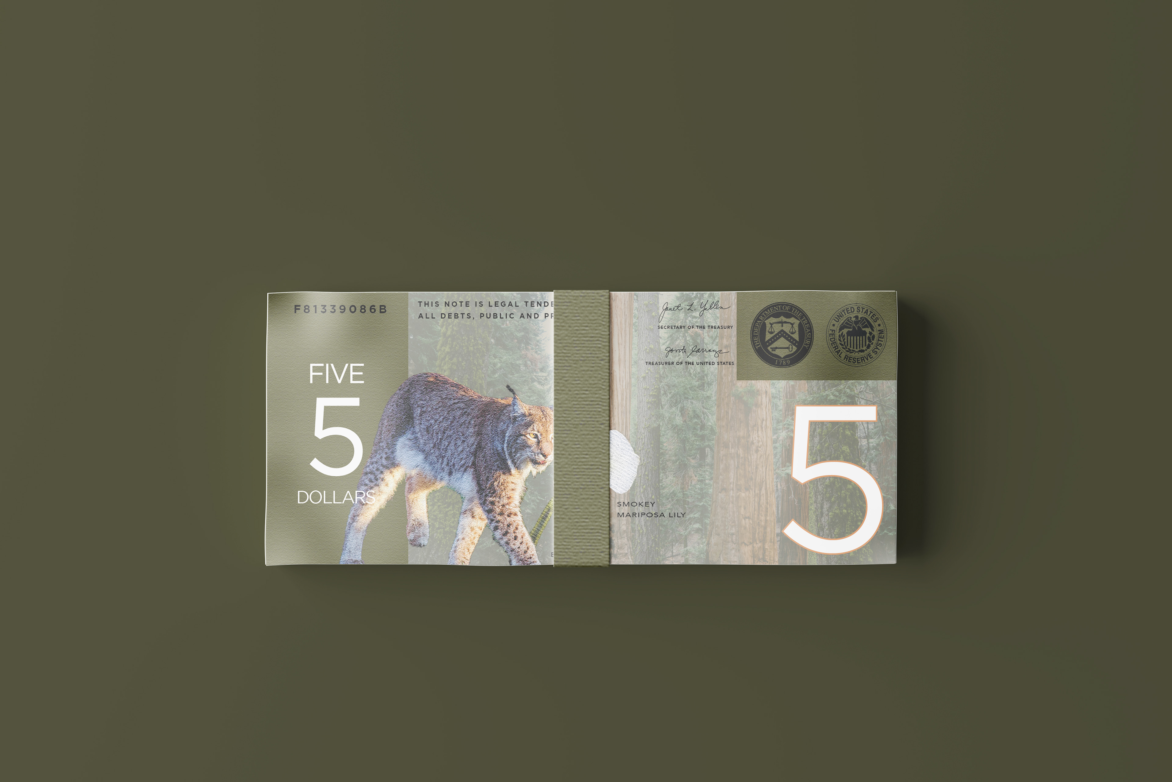 $5 Back