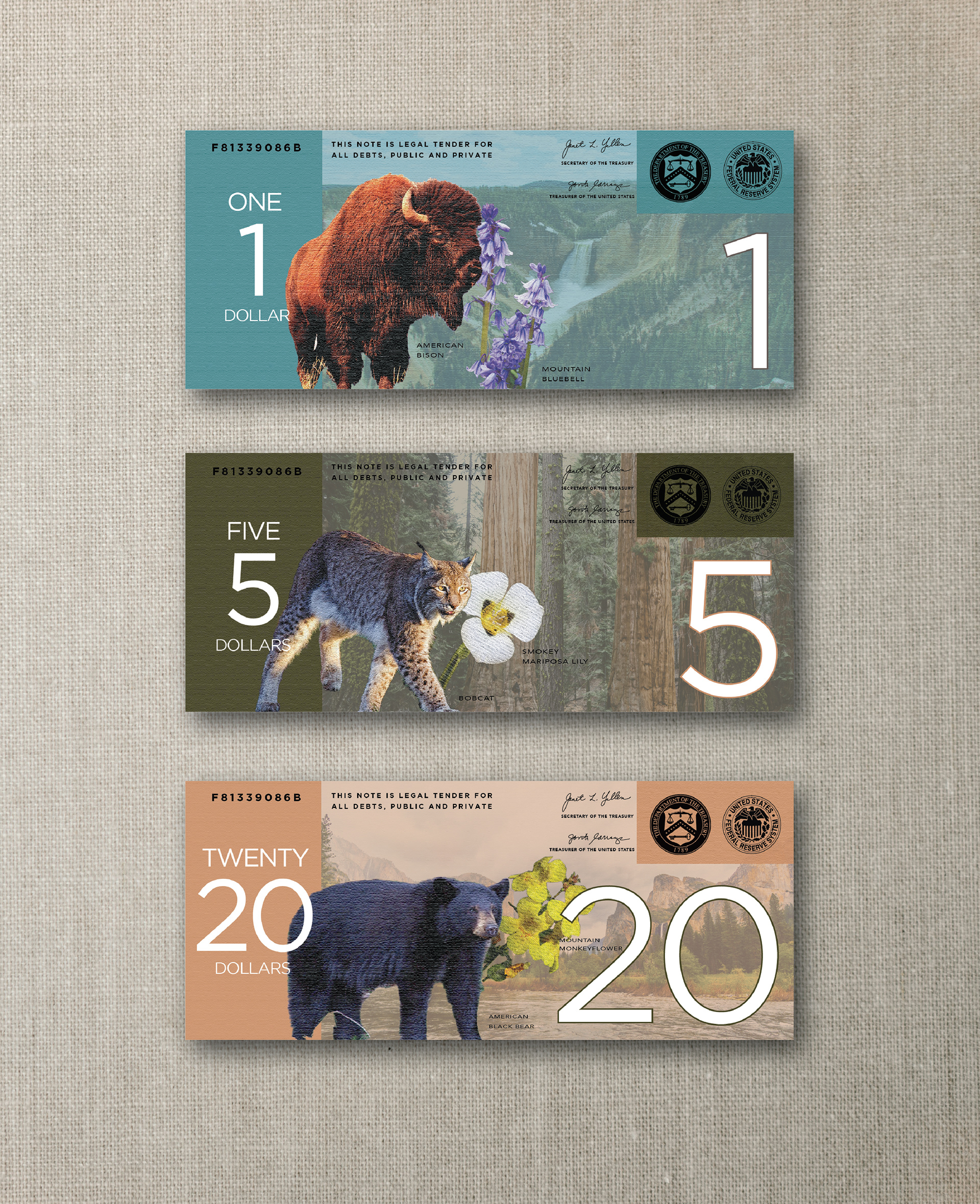 Currency System Back