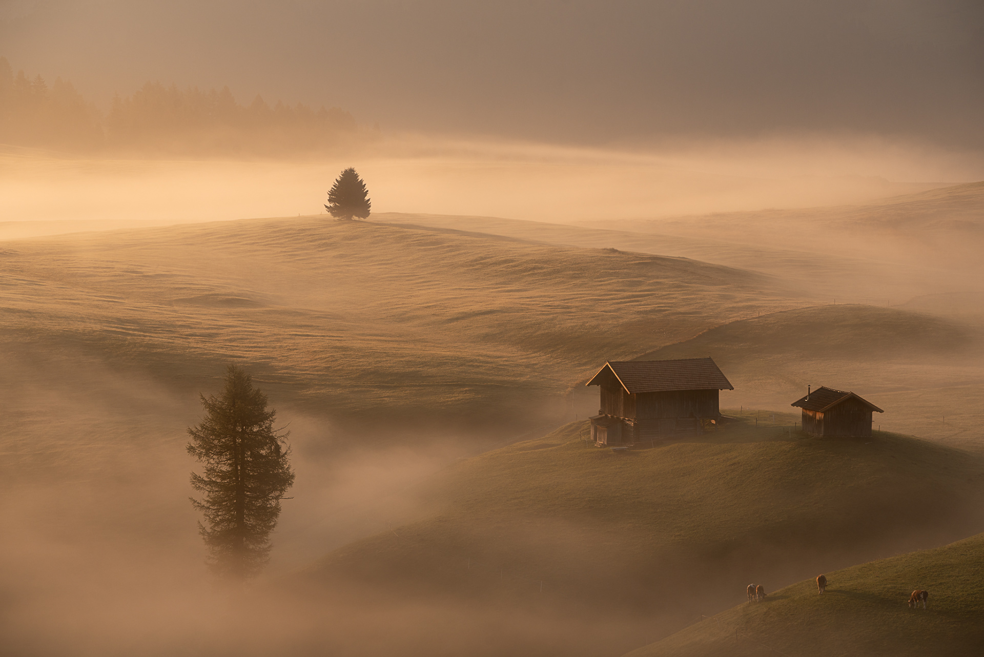Alpe di Siusi, Dolomites